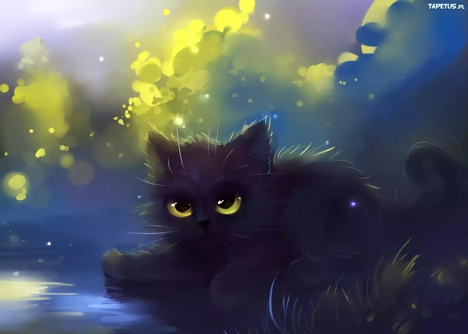 Kot, Fantasy