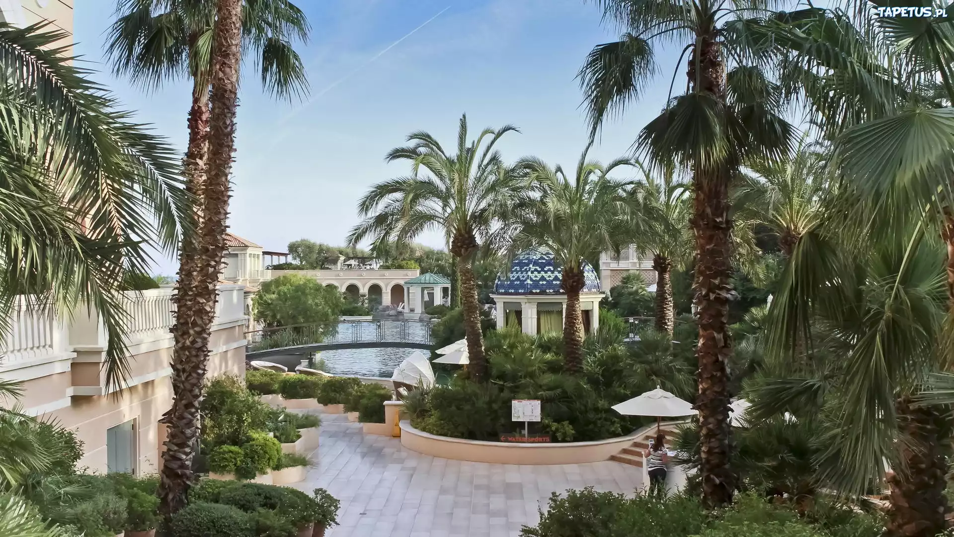Hotel, Monte Carlo, Palmy, Dziedziniec, Basen, Parasole