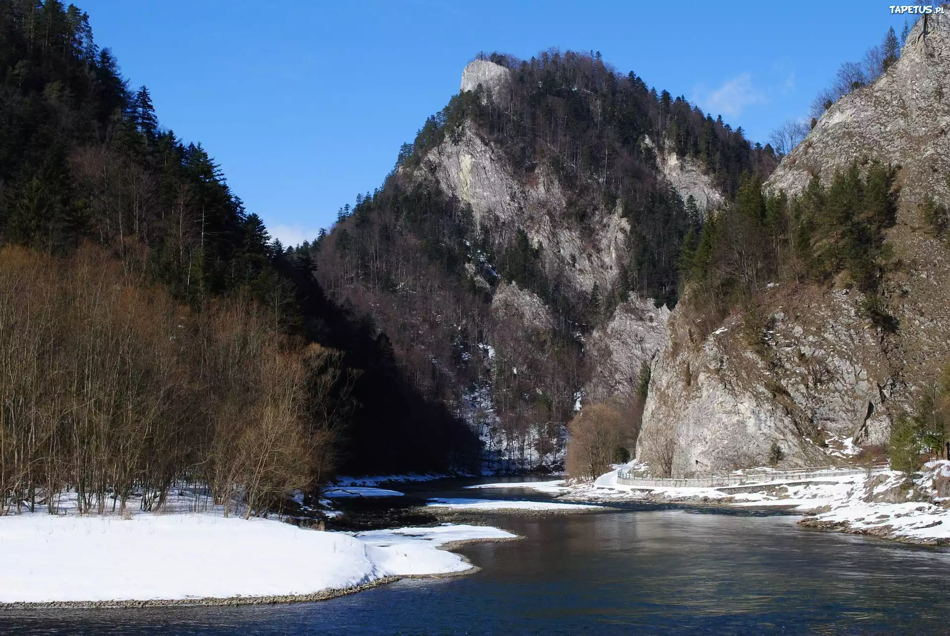 Szczawnica, Polska, Góry, Rzeka