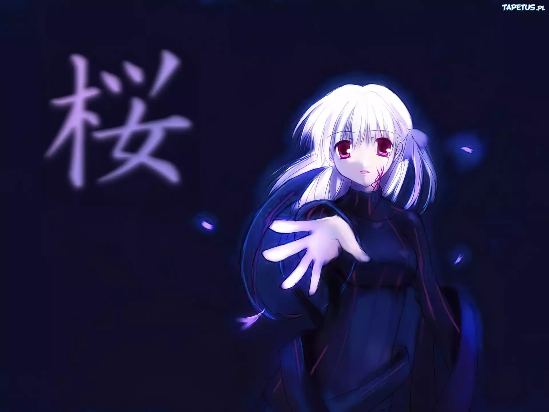napis, Fate Stay Night, dziewczyna