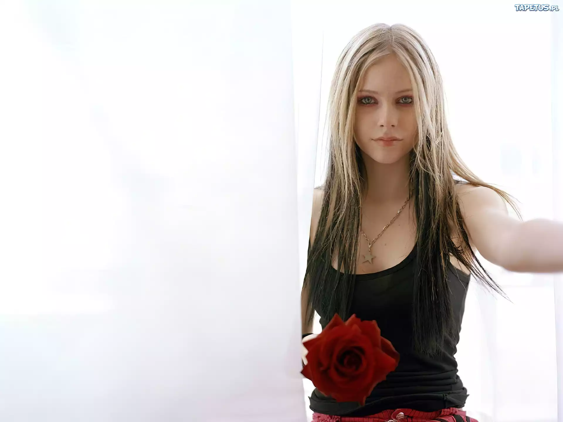 Avril Lavigne, Czerwona Róża