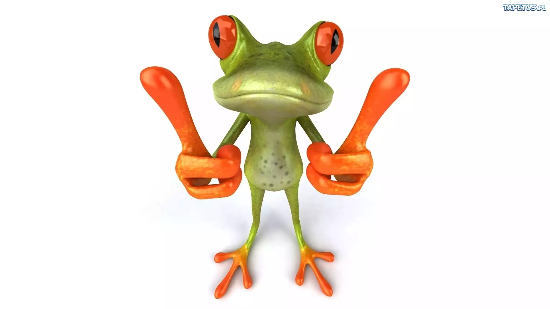 Żaba, 3D, Śmieszne