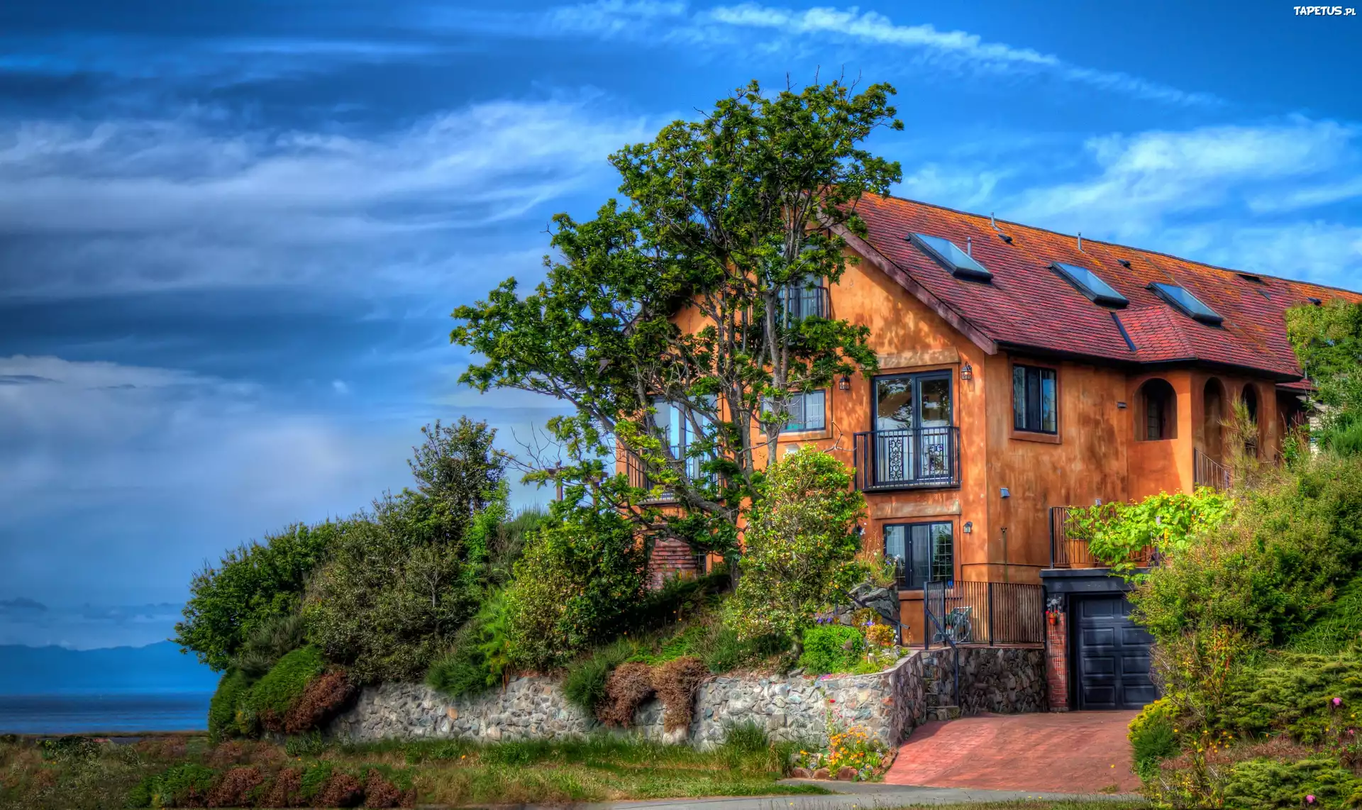 Domek, Drzewko, Krzewy, HDR