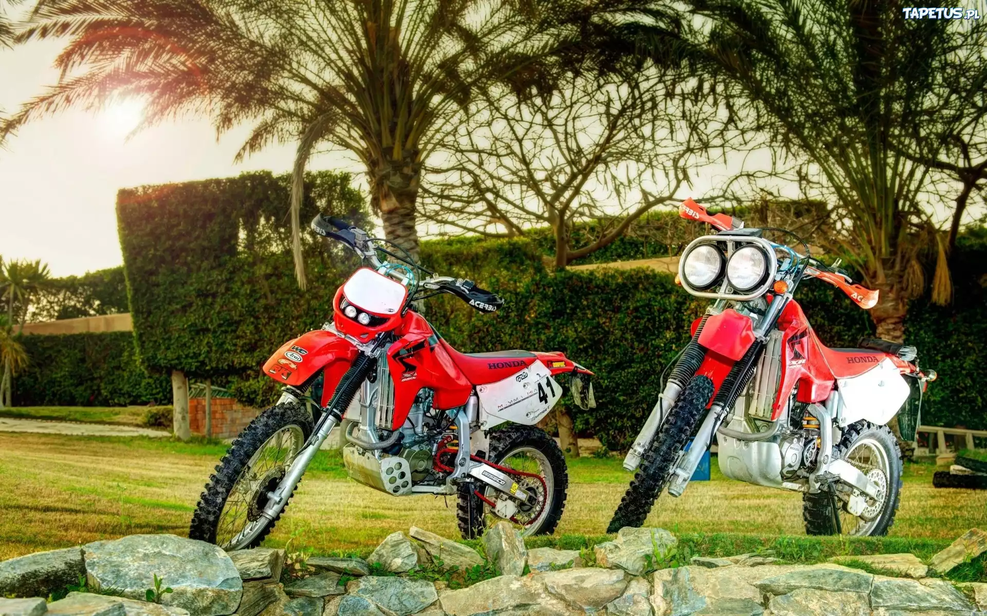 Dwa, Motocykle, Honda XR, Palmy, Kamienie