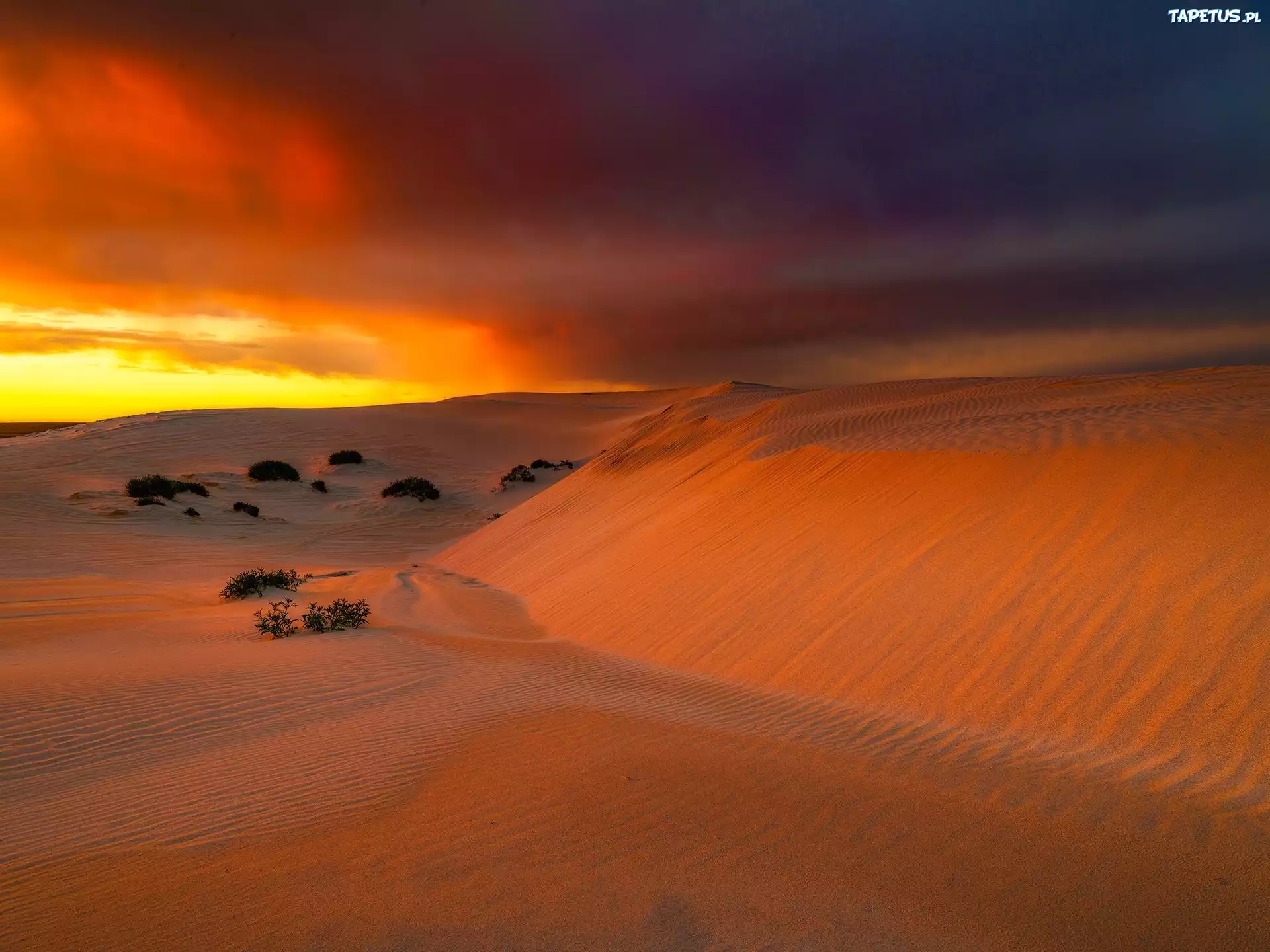 Wydmy, Eucla, Australia, Zachód Słońca