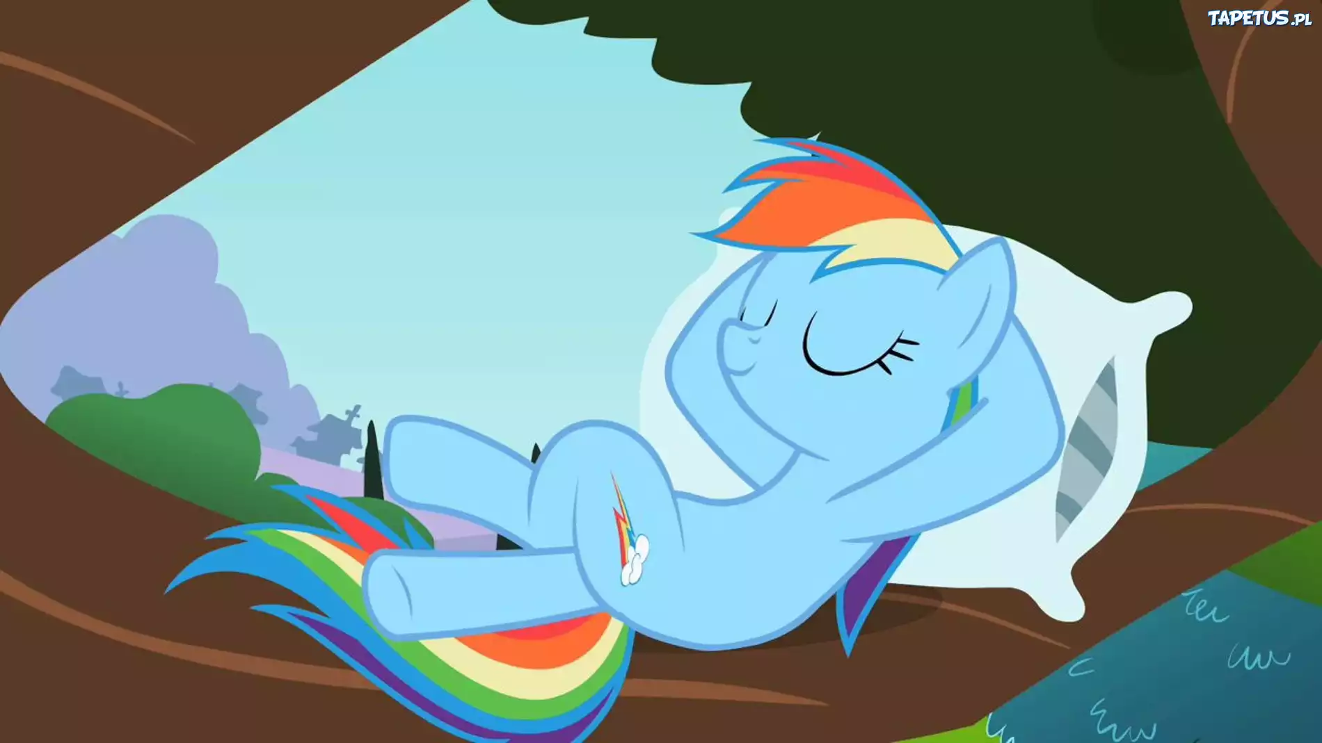 Rainbow Dash, Leży, Poduszka