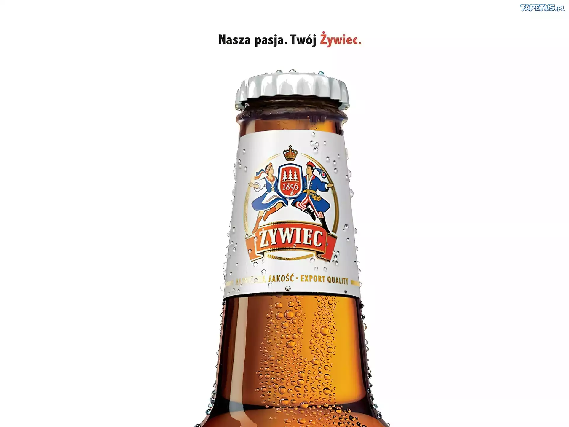 Piwo, Piwo Żywiec, szyjka
