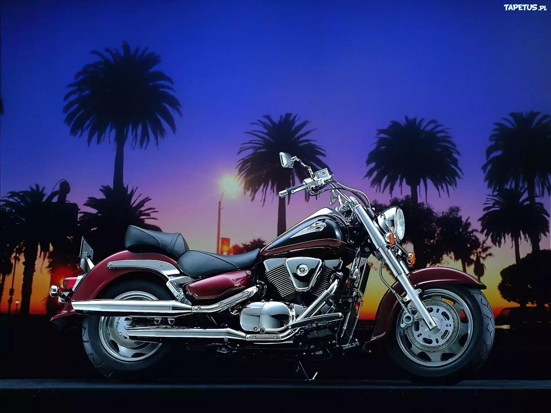Palmy, Suzuki Intruder