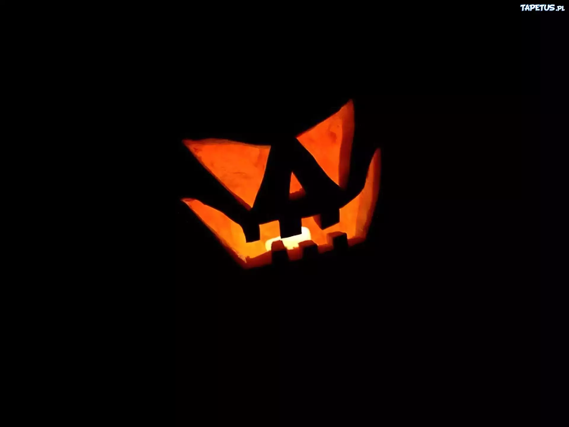 Halloween,dynia