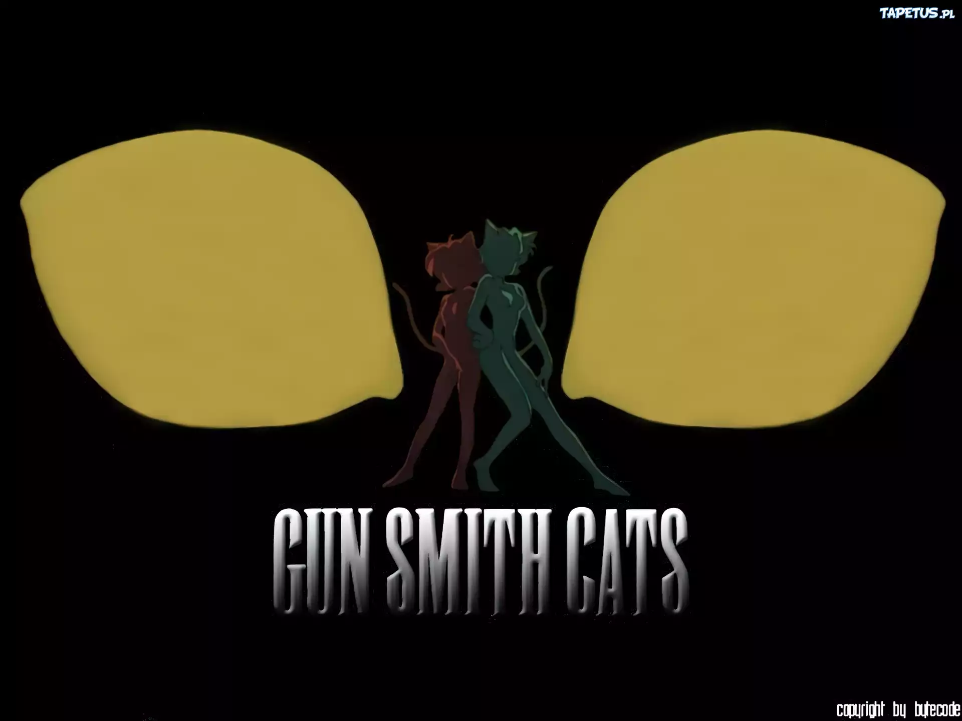 Gunsmith Cats, postacie, napis