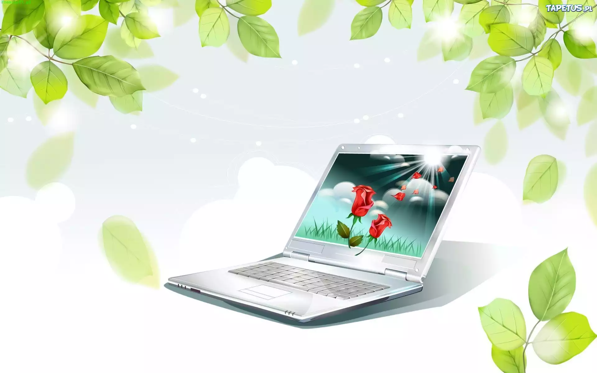 Liście, Laptop