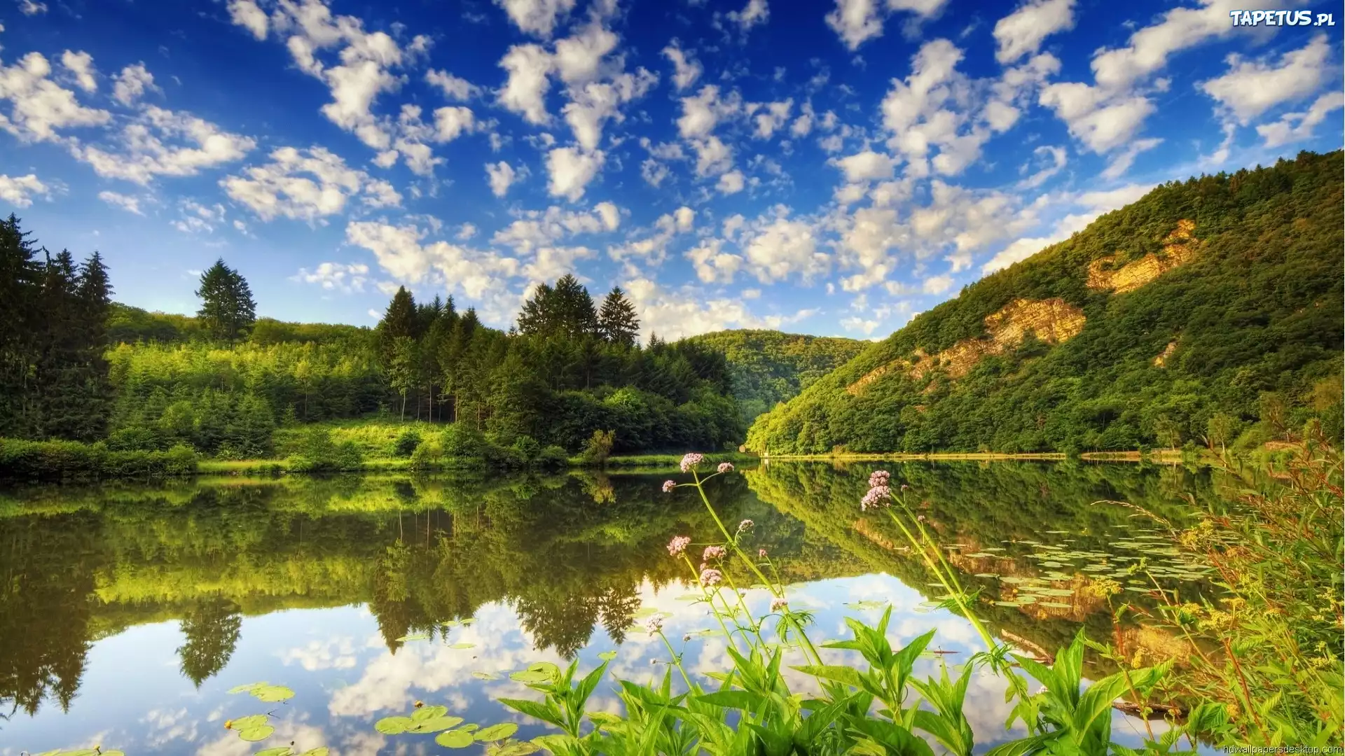 Góry, Lasy, Jezioro