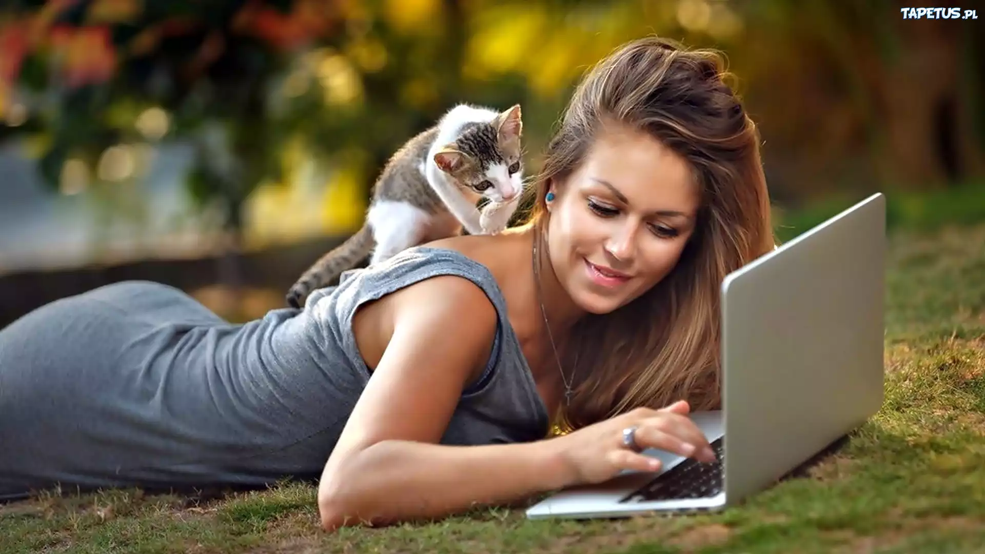 Kobieta, Mały, Kotek, Laptop