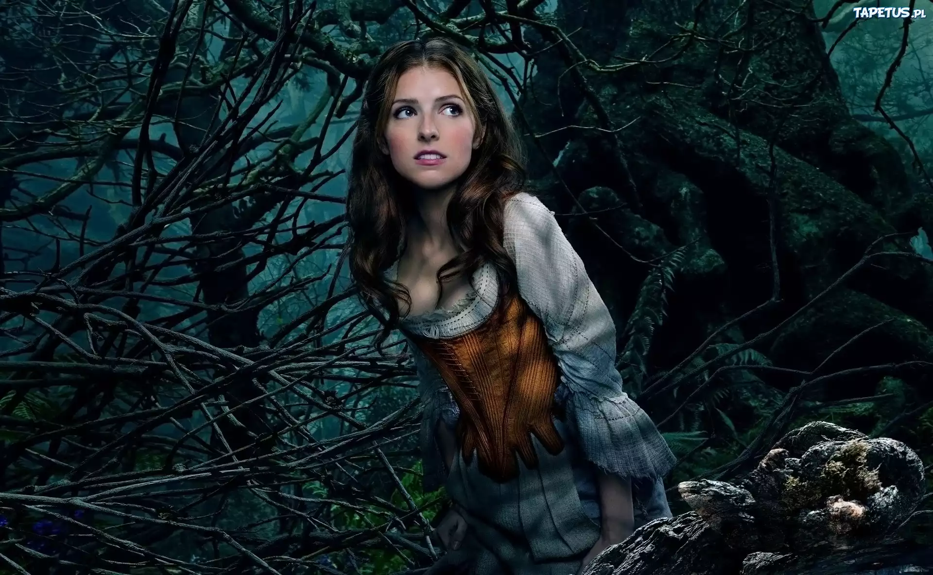 Kobieta, Anna Kendrick, Las