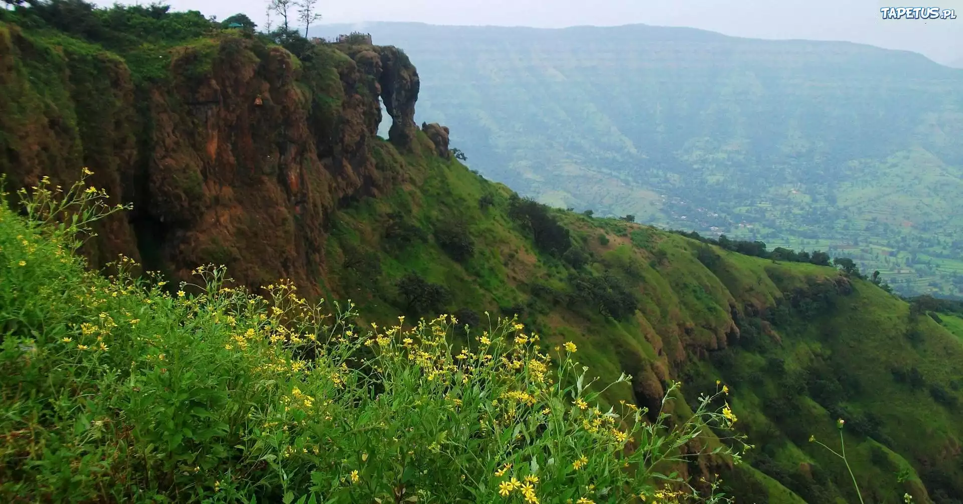 Góra, Kwiatki, Mahabaleshwar, Indie