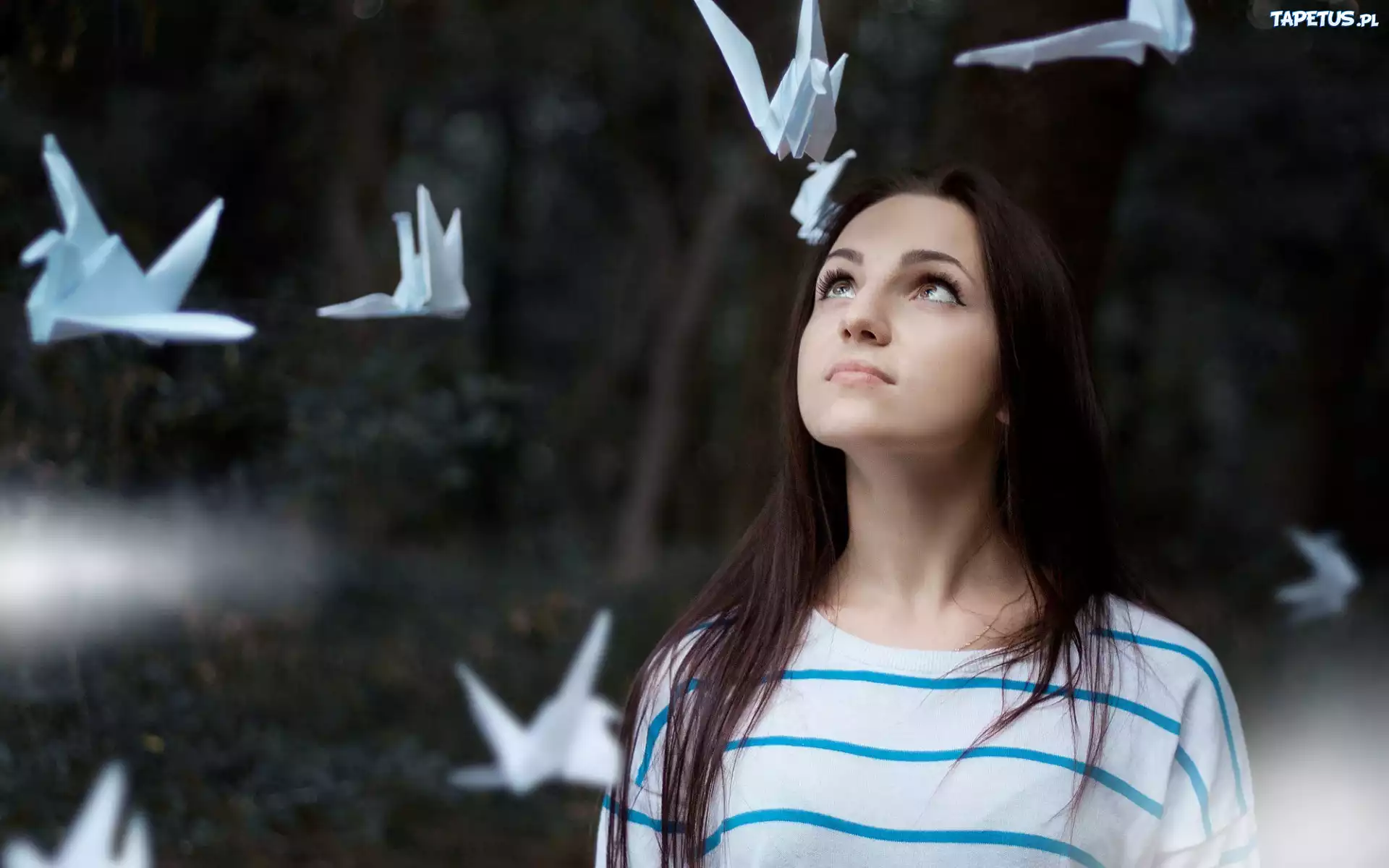 Dziewczyna, Brunetka, Origami