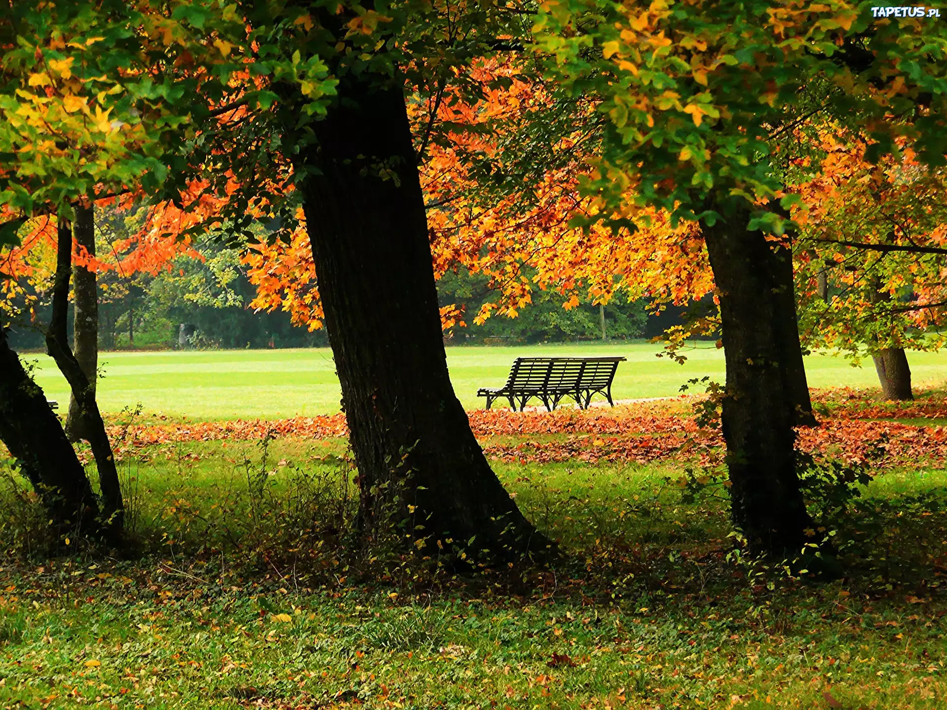 Jesień, Park, Ławka