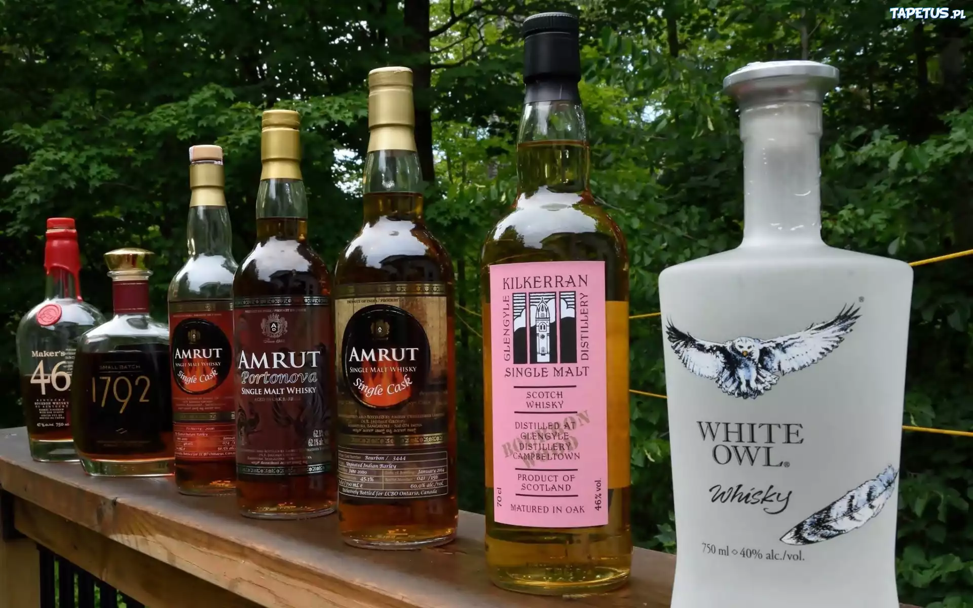 Alkohol, Whisky, Półka, Ogród