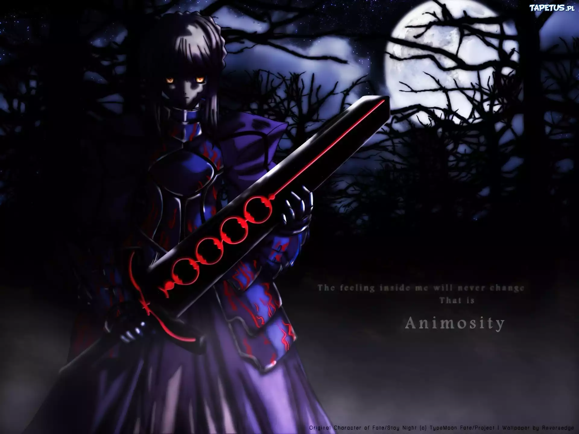 Fate Stay Night, kobieta, miecz, noc, księżyc