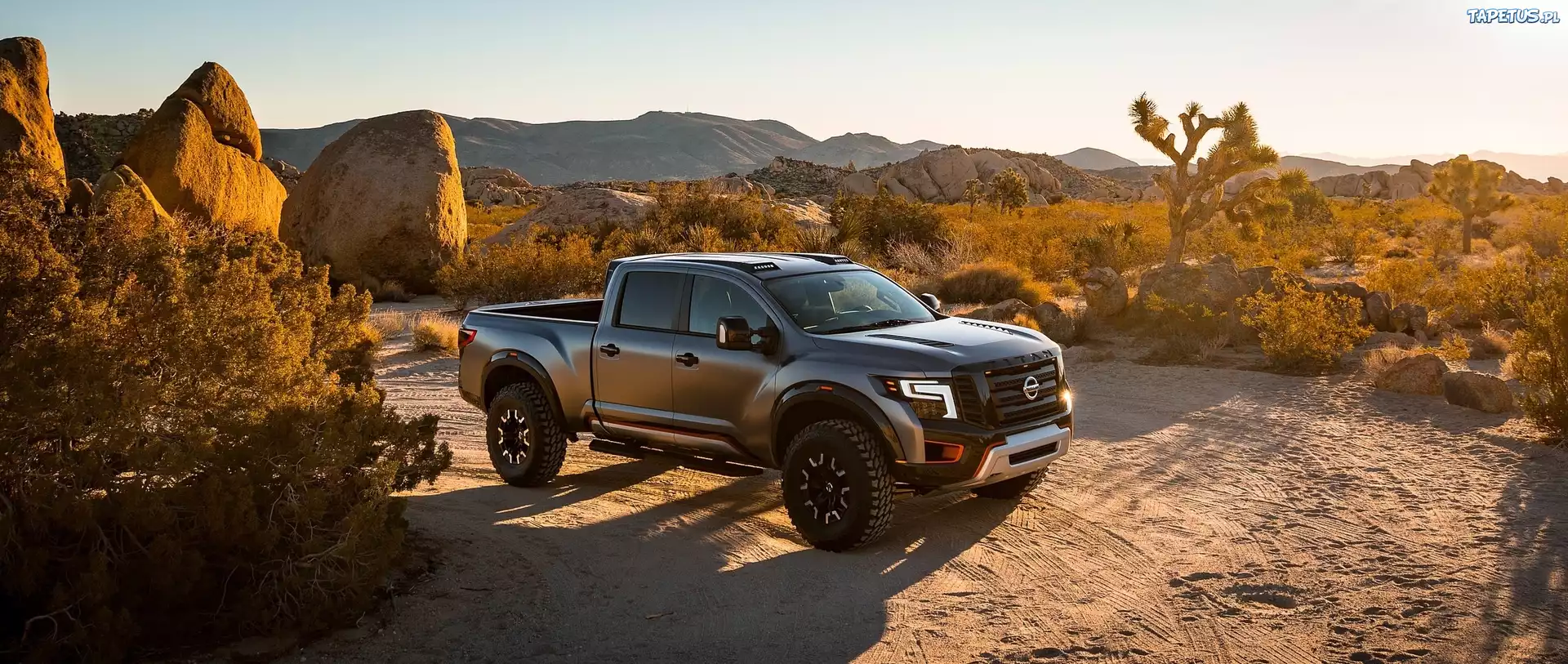 Nissan, Titan Warrior, Kamienie, Rosliny