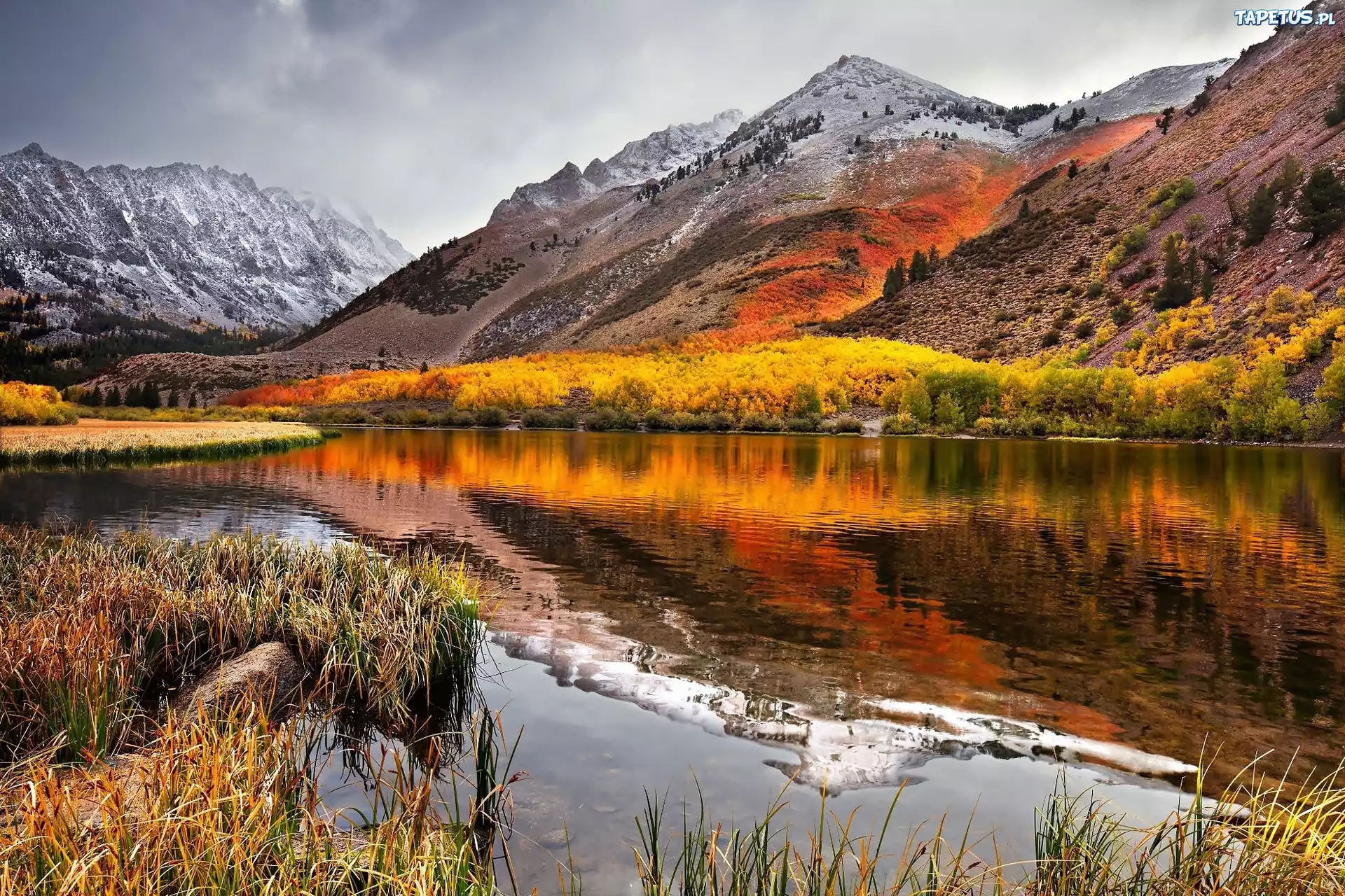 Jezioro, Drzewa, Pasmo, Górskie, Sierra, Nevada, Kalifornia, USA