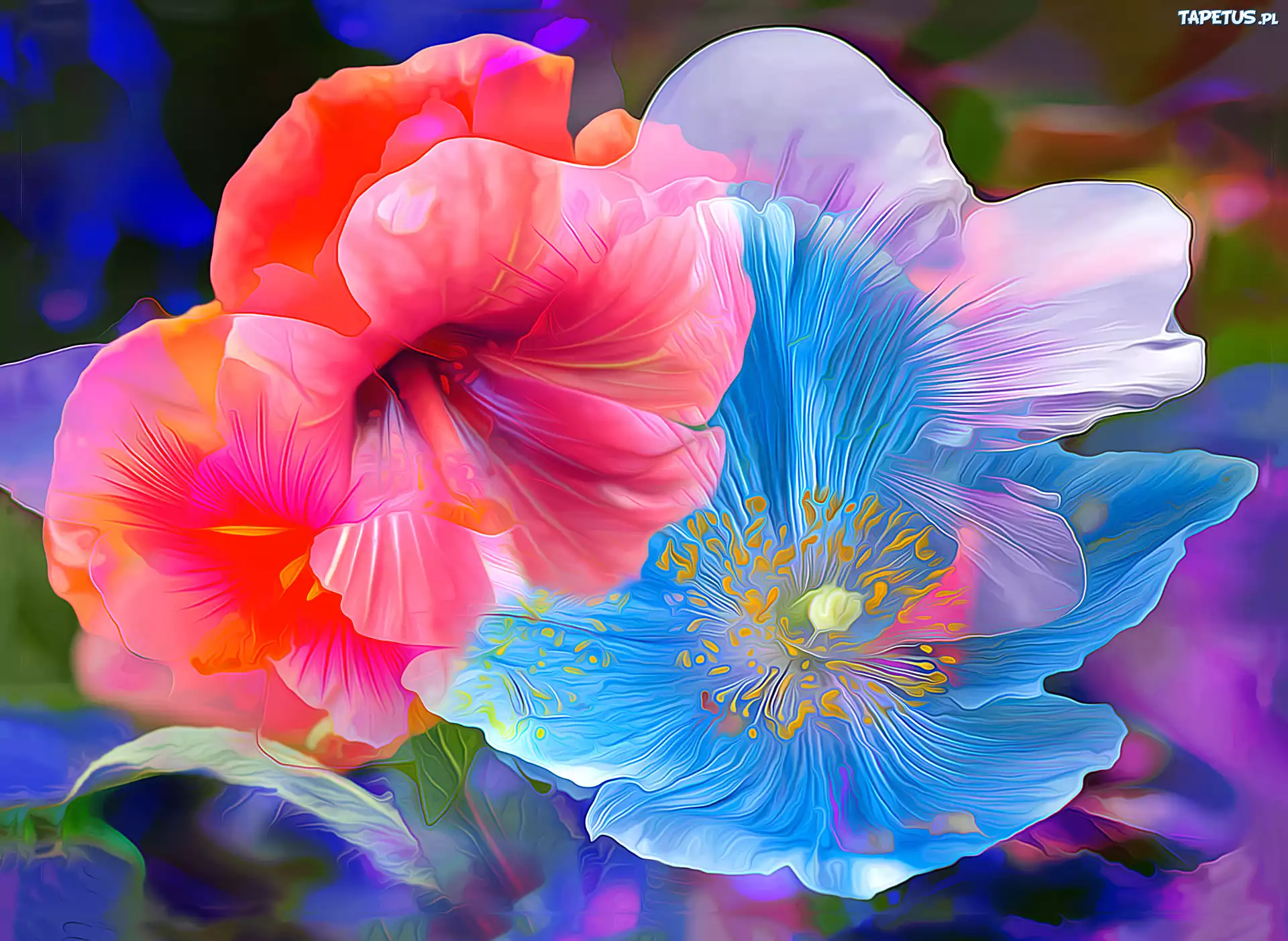 Grafika, Paintography, Kwiaty