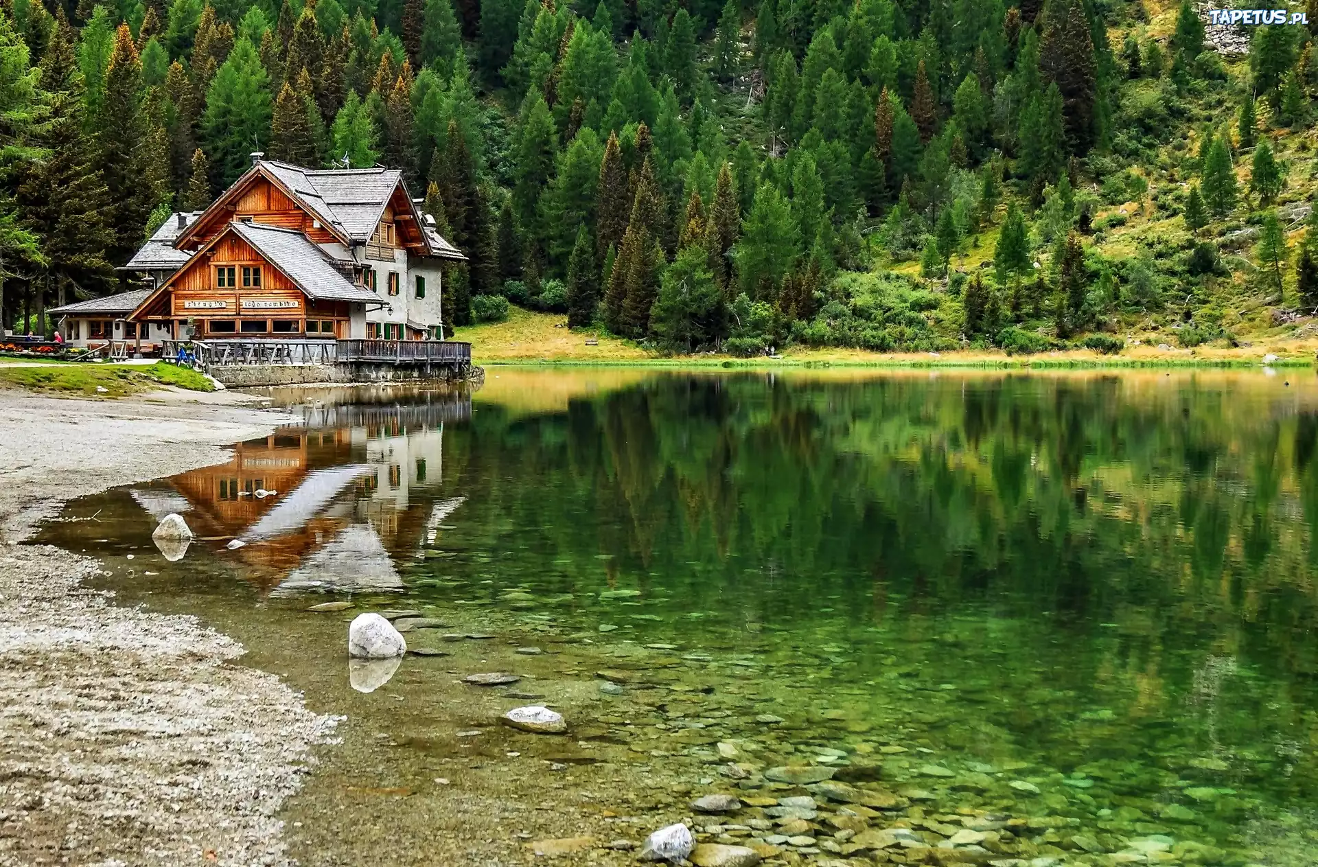 Jezioro, Las, Restauracja, Dom