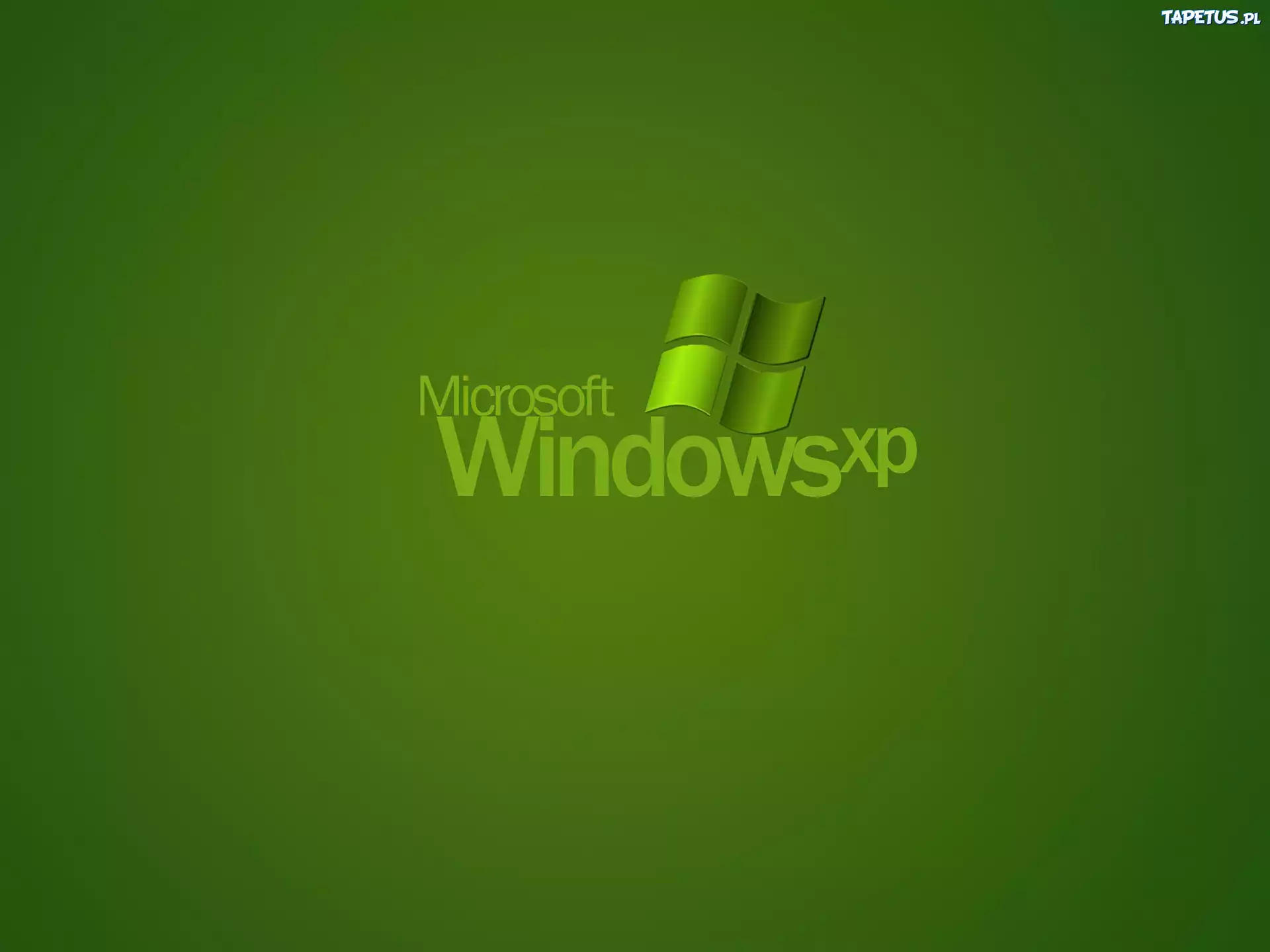 Windows XP