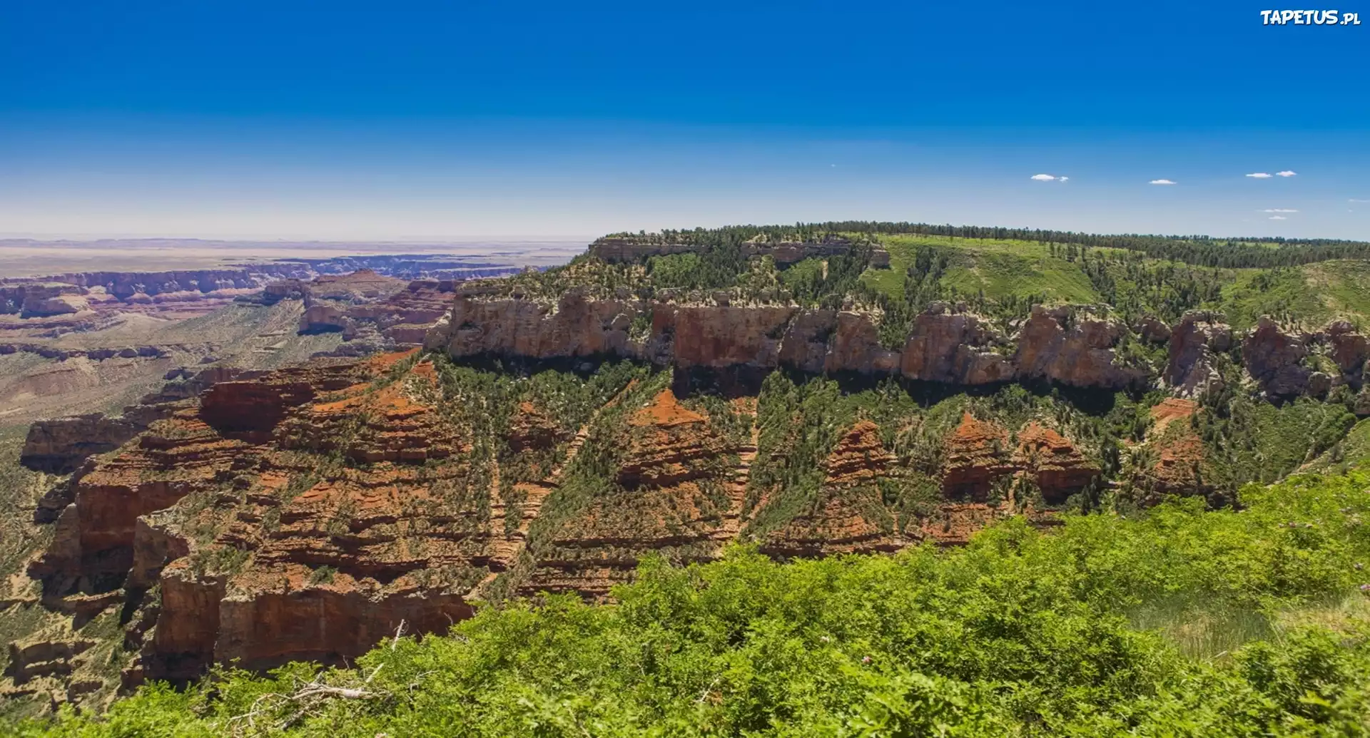 Park, Kanion, Arizona, USA