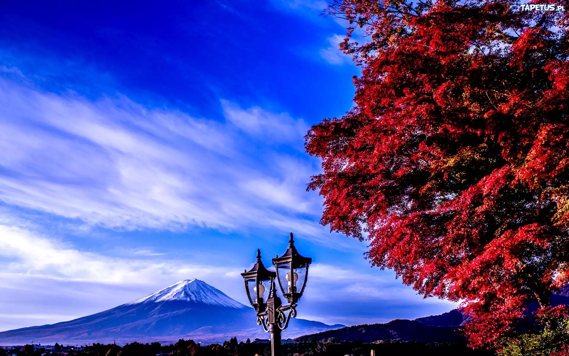 Góra, Fuji, Drzewo, Lampa, Japonia
