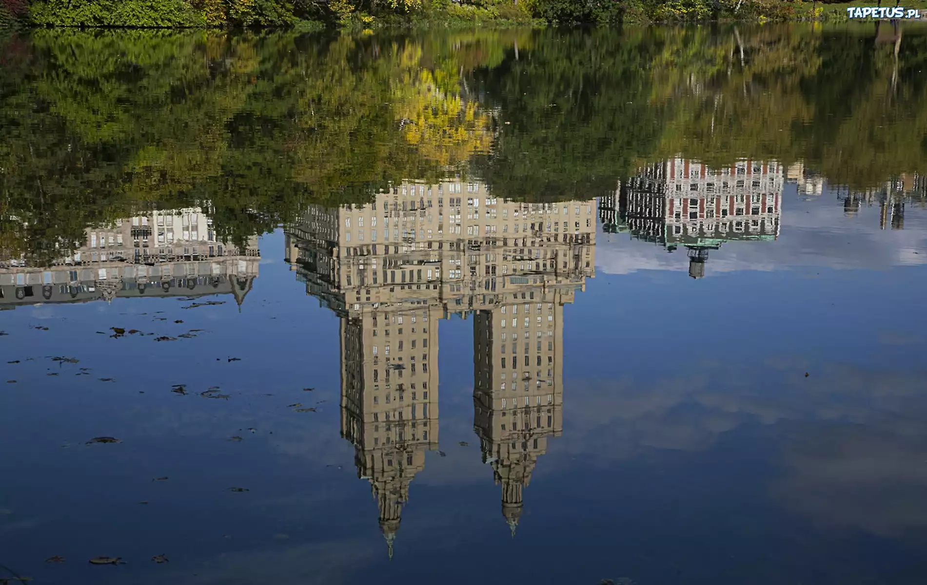Nowy Jork, Odbicie, Budynków