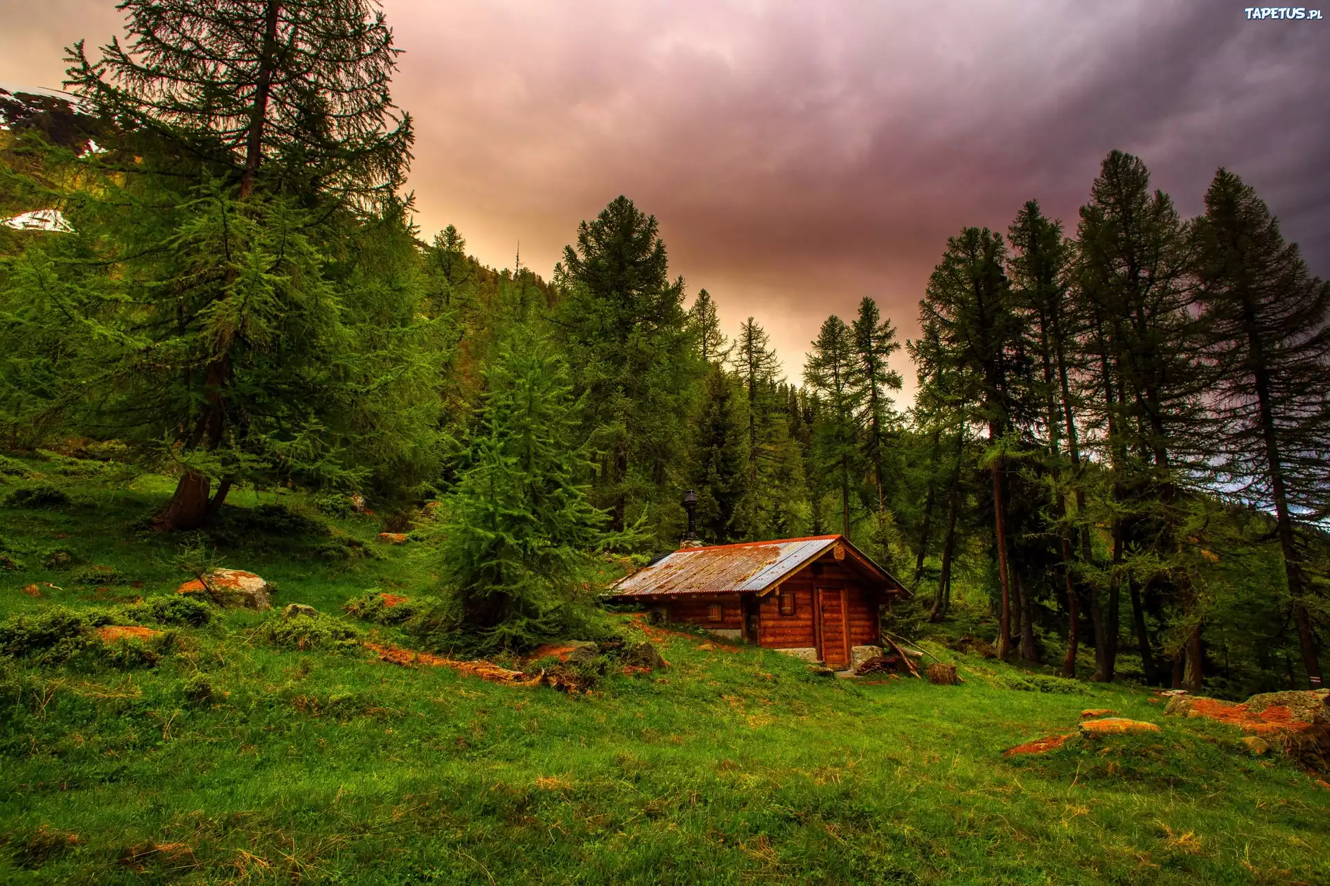 Domek, Góry, Szwajcaria