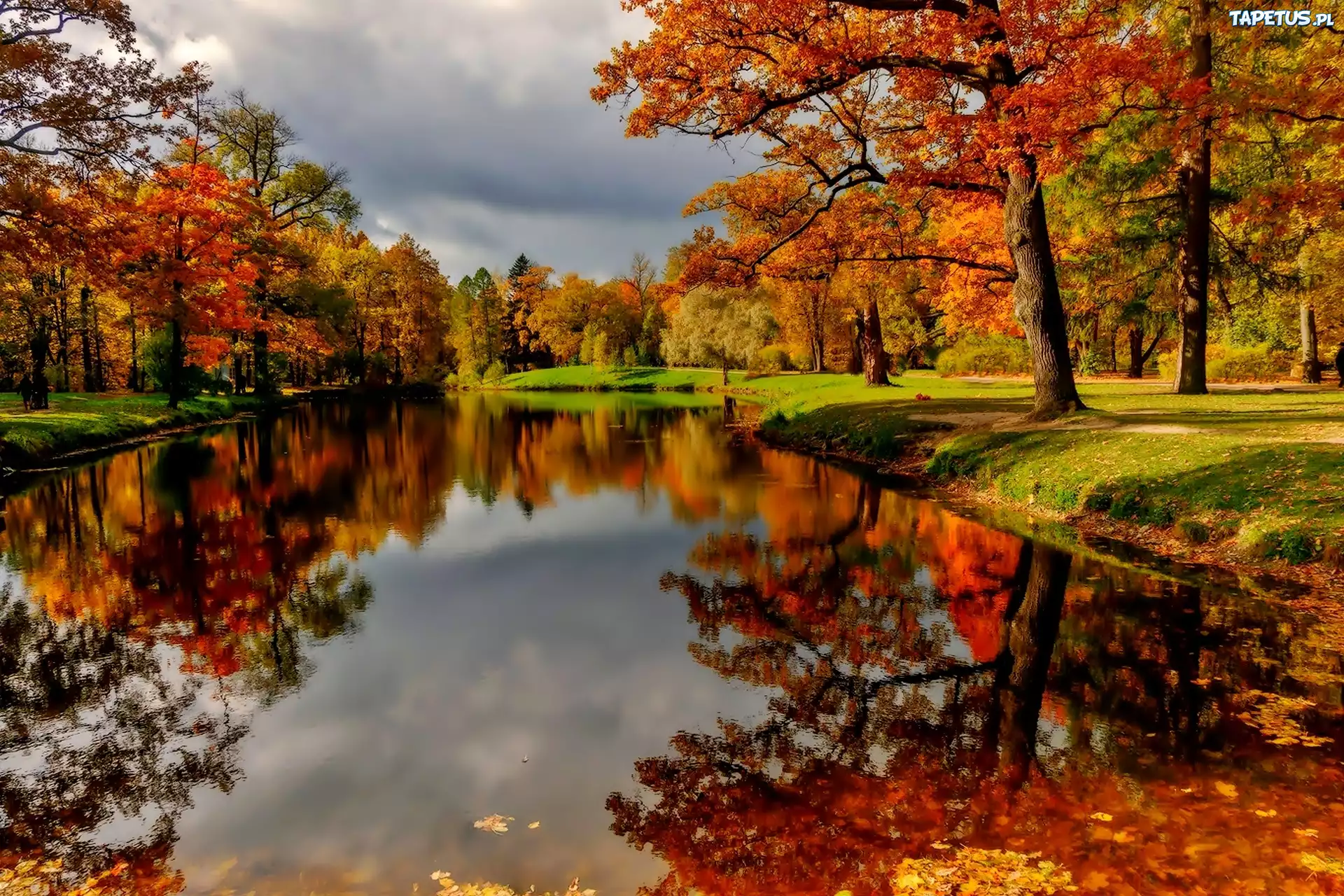 природа деревья река горы листья осень nature trees river mountains leaves autumn бесплатно