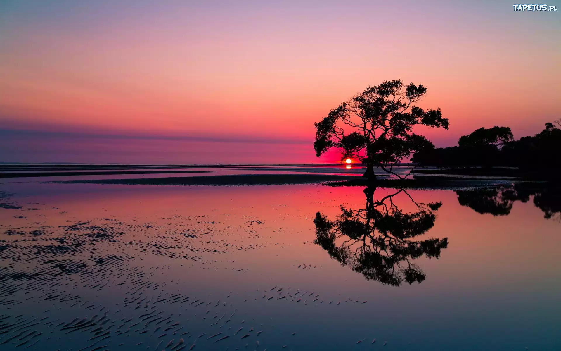 Plaża, Zachód, Słońca, Drzewa