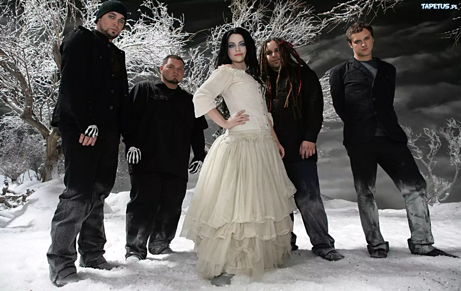 Evanescence, muzyka, zespół, rock, suknia, Amy Lee