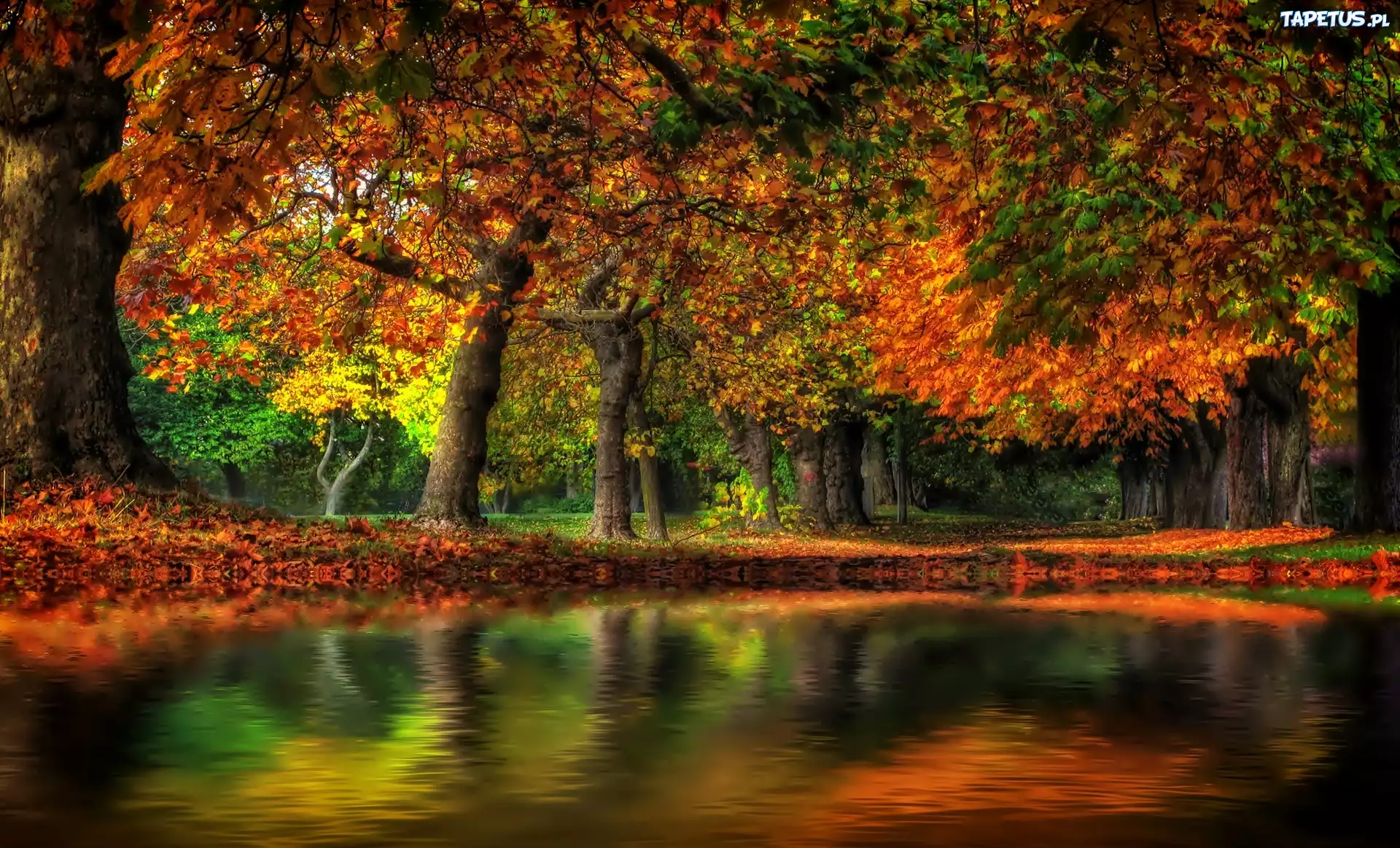 Jesień, Park, Staw
