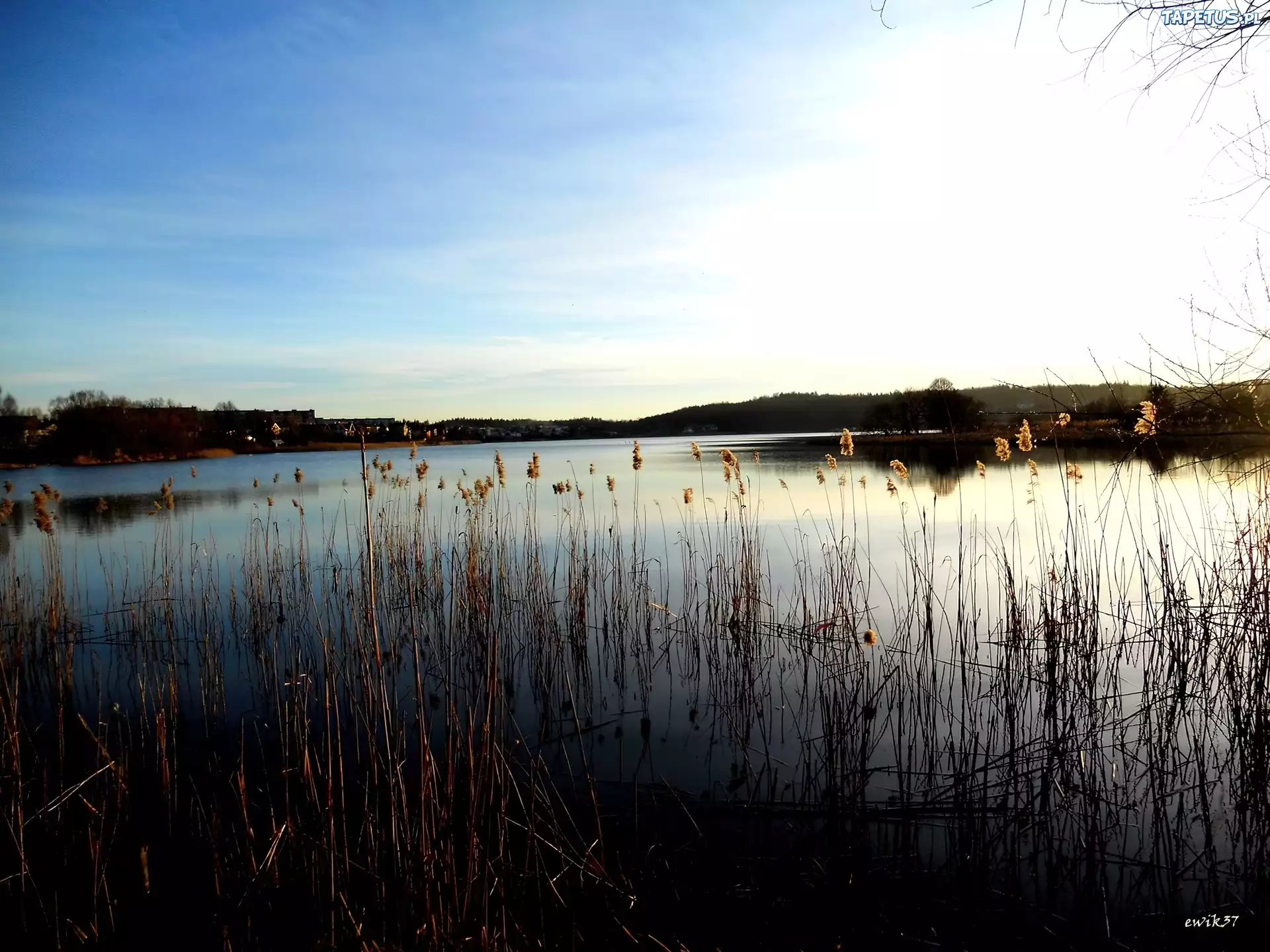 Błękitne, Niebo, Jezioro, Trawy