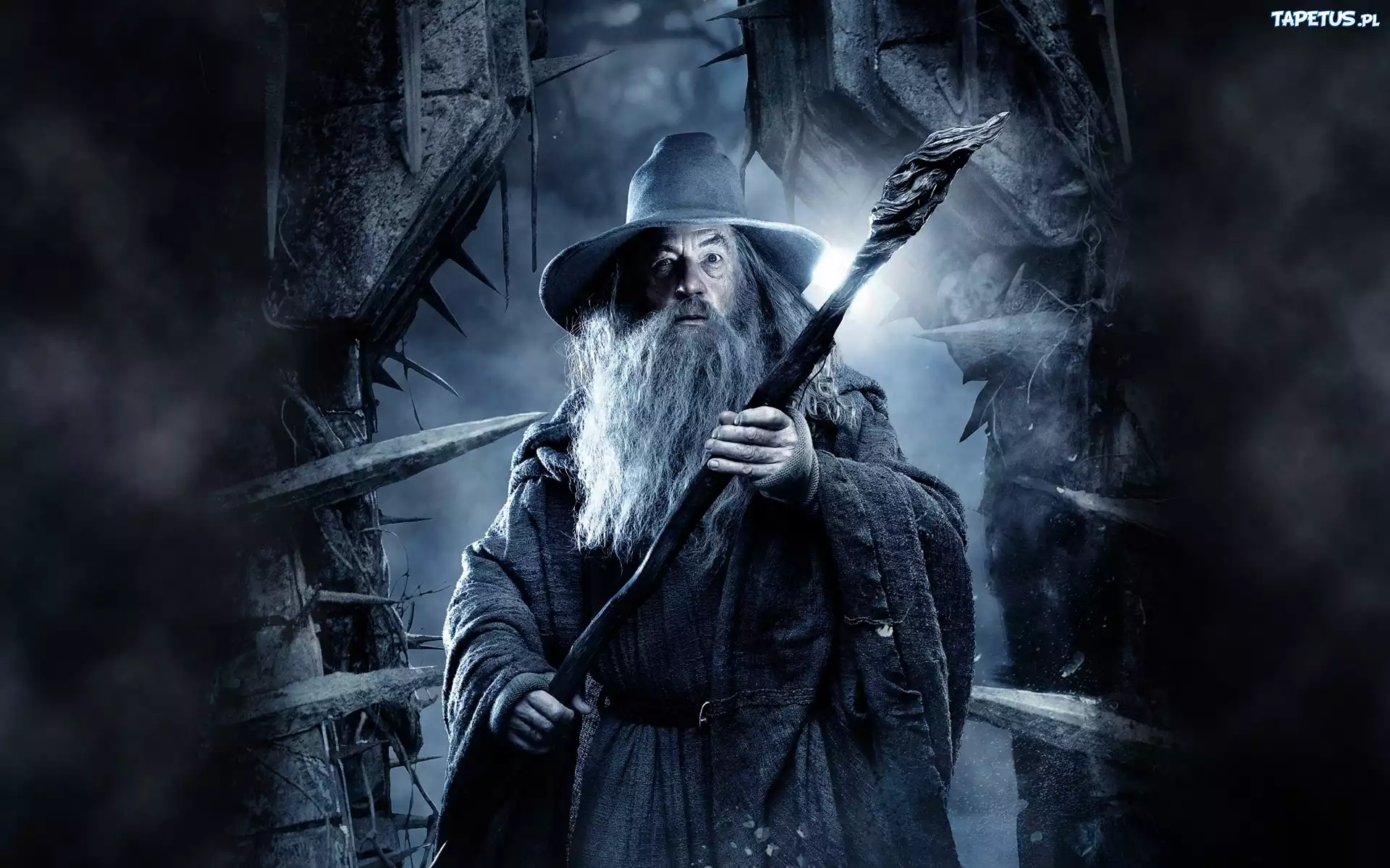 Hobbit, Pustkowie Smauga, Gandalf, Ian McKellen