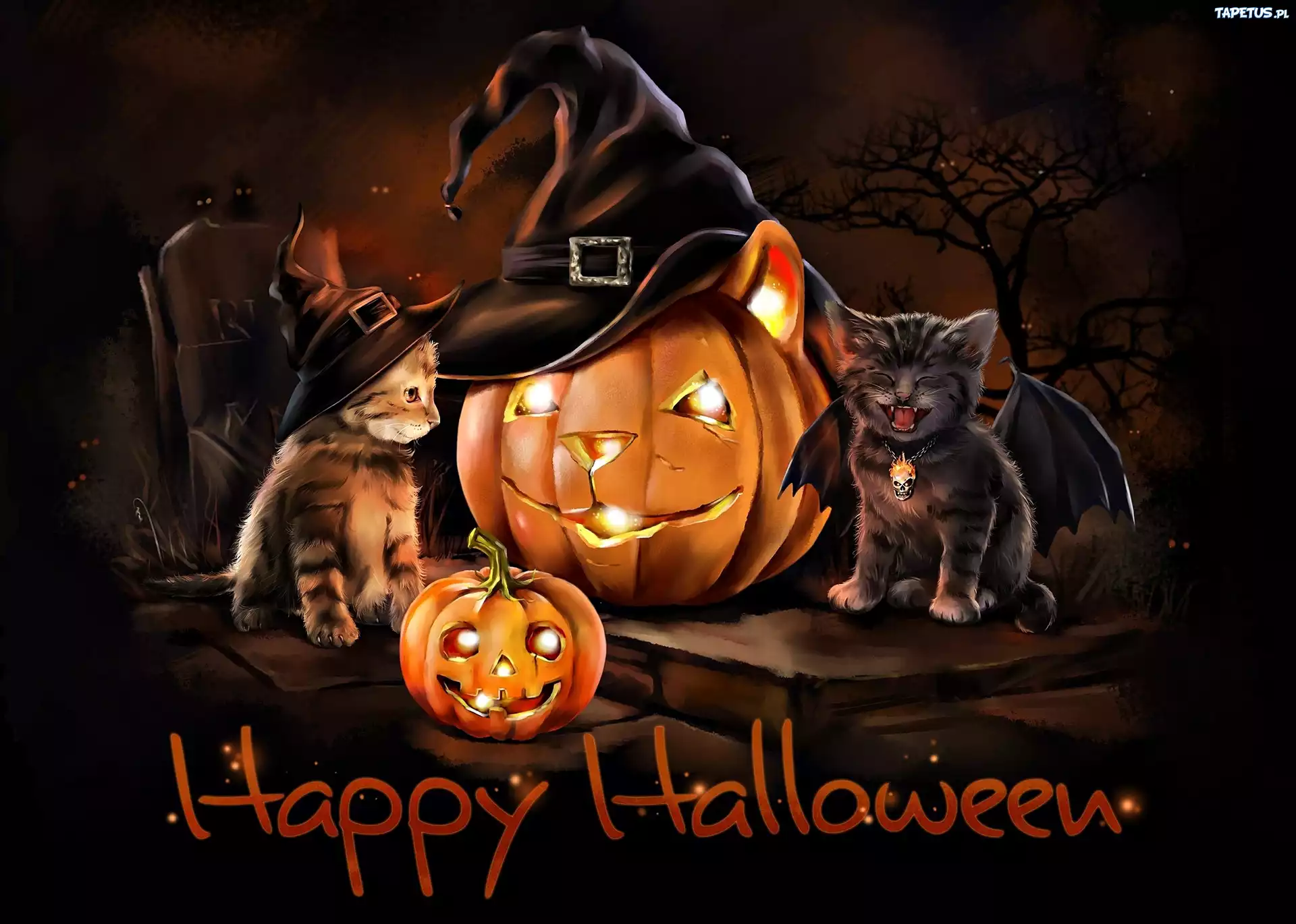 Halloween, Dynie, Koty