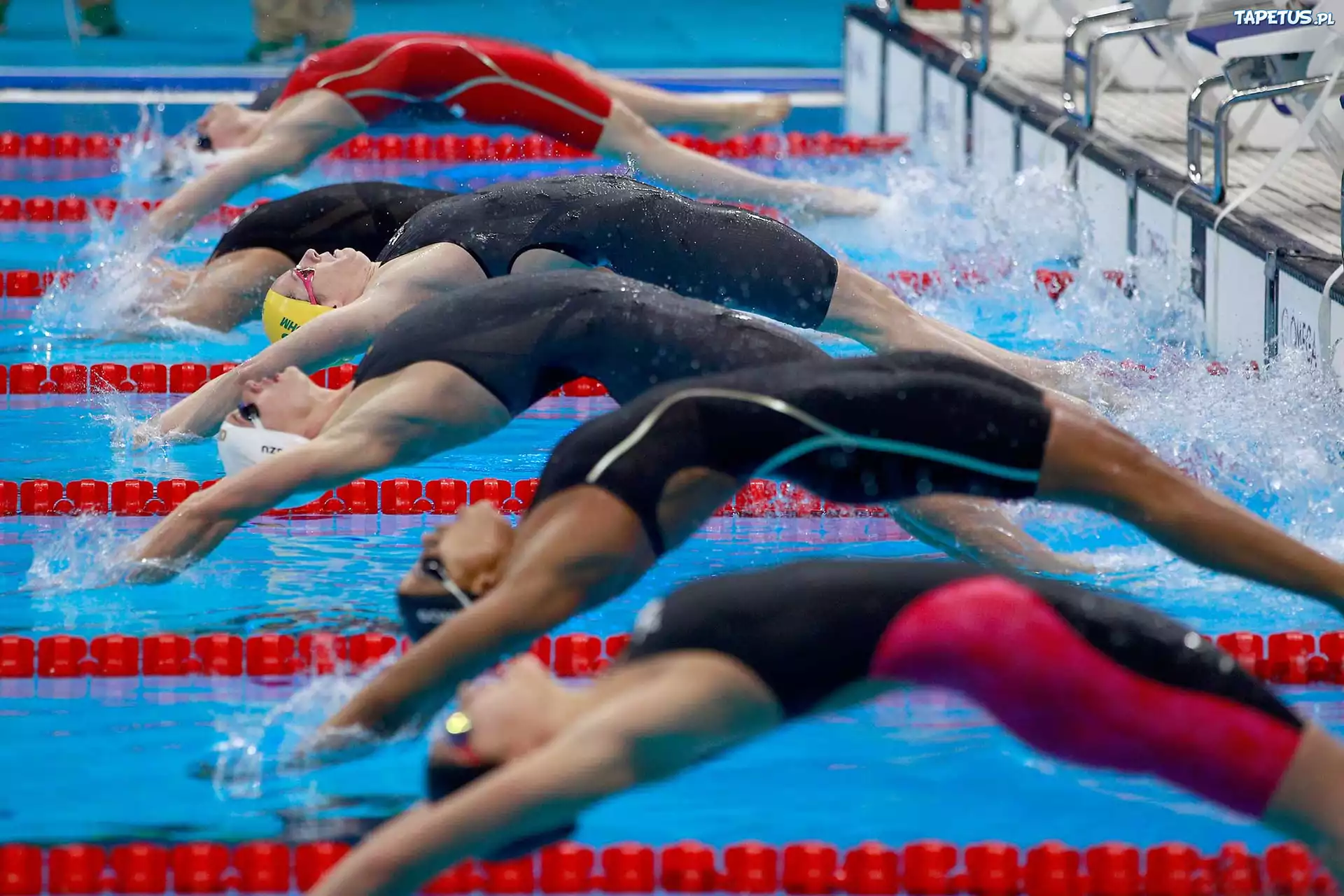 Sportowcy, Zawody, Basen, Pływanie