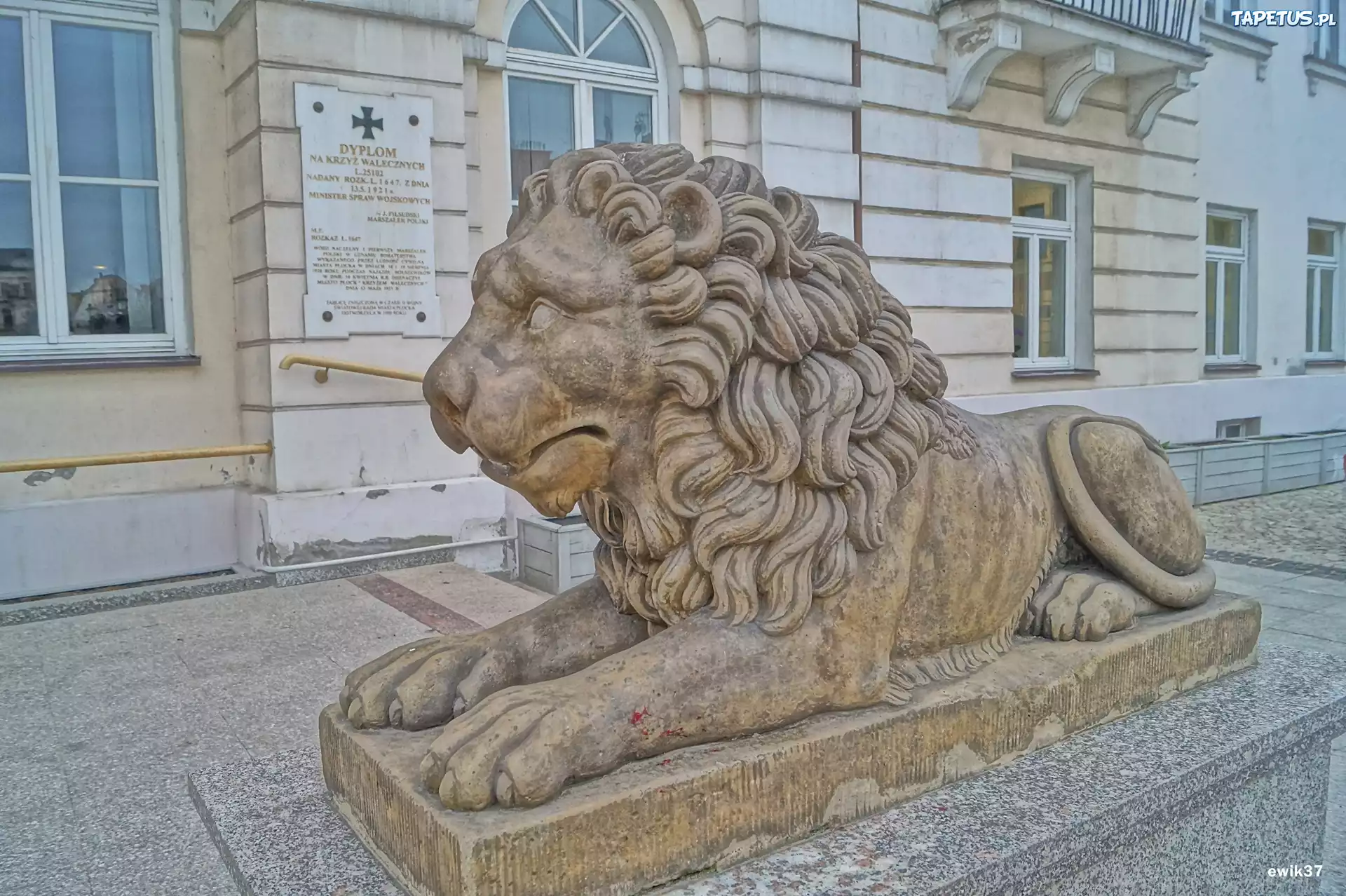 Płock, Ratusz, Tablica, Pomnik, Lew