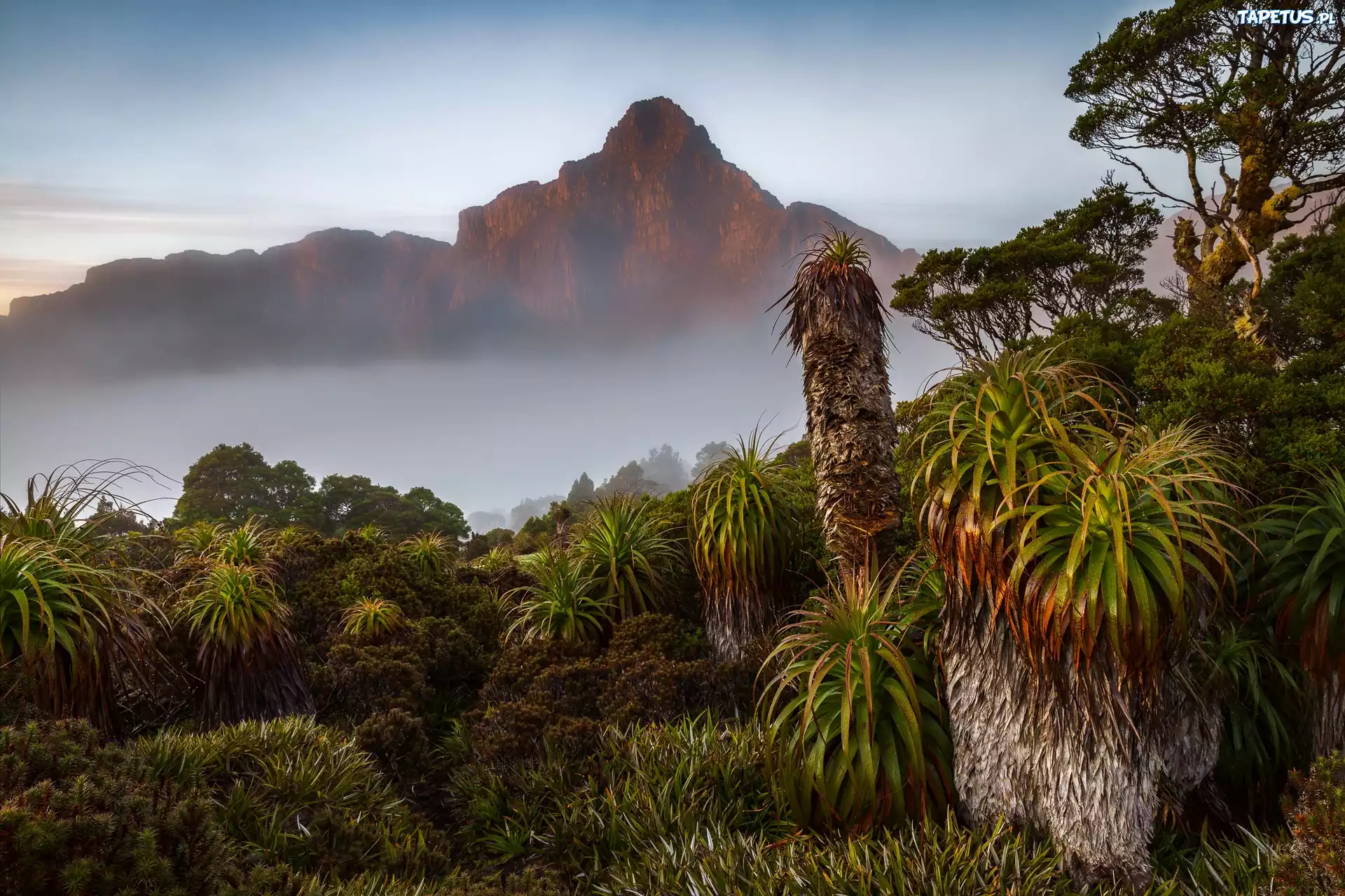 Walls of Jerusalem National Park, Tasmania, Australia скачать