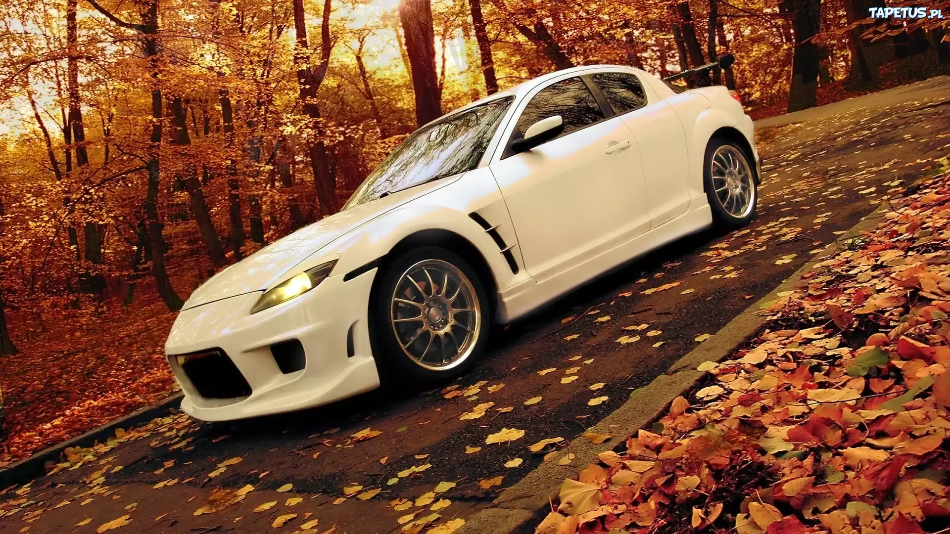 Mazda, RX-8, Jesień, Las, Droga