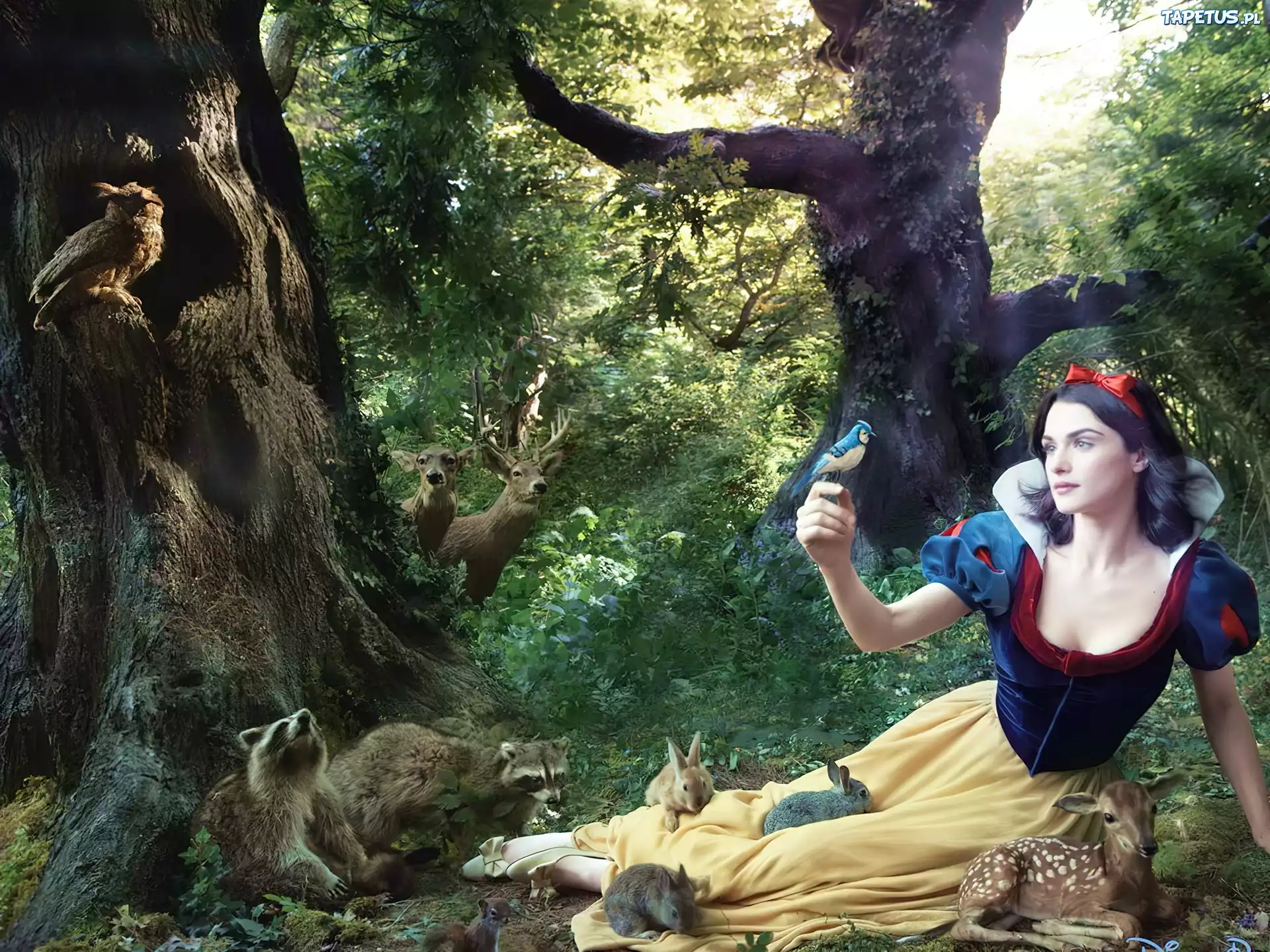 Królewna Śnieżka, Rachel Weisz