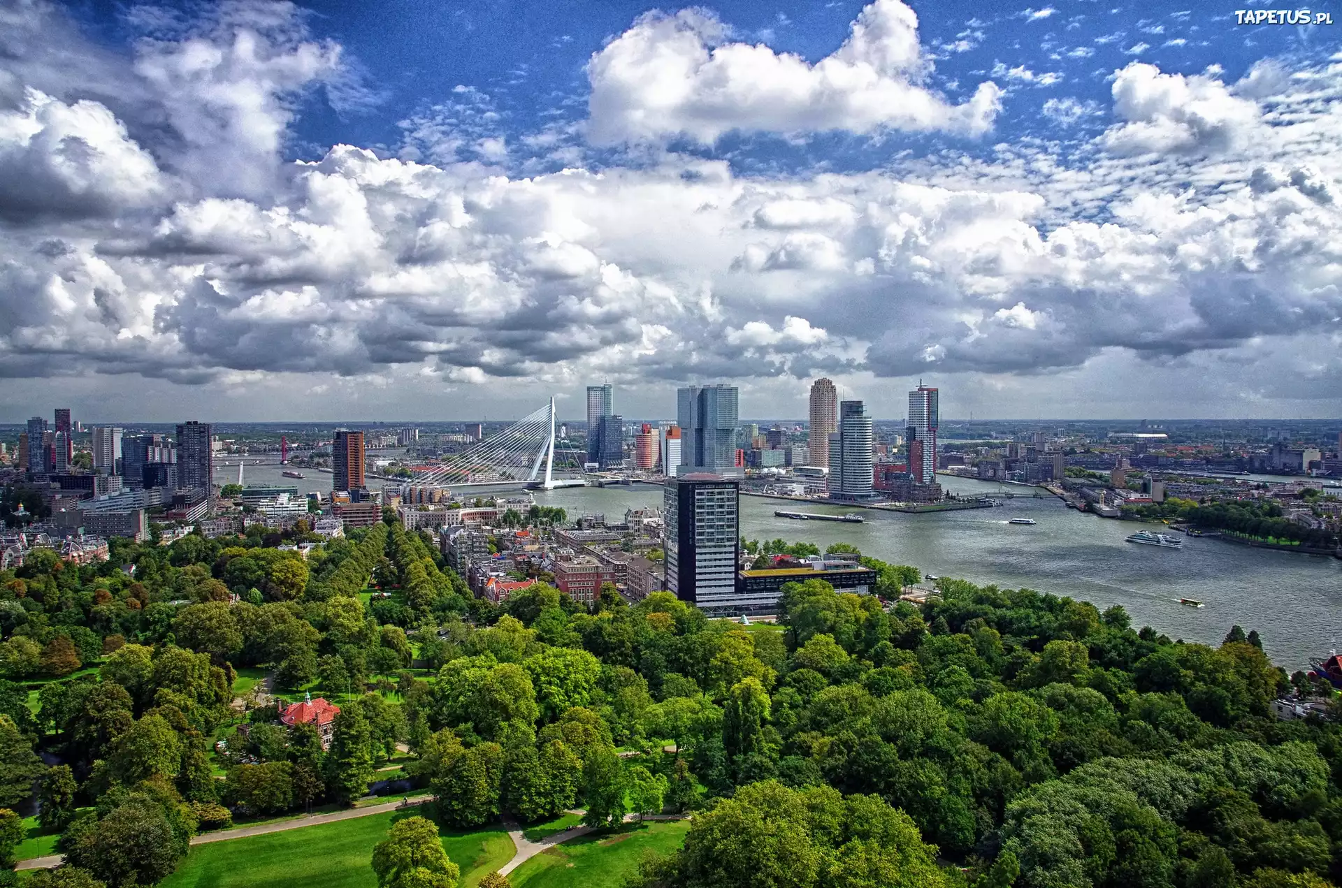 Rotterdam, Holandia, Miasto