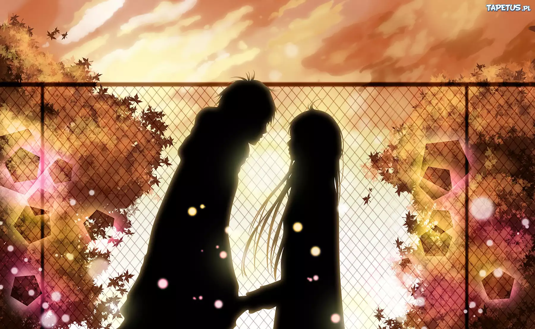 Serial, Animowany, Kimi ni Tudoke, Sadako
