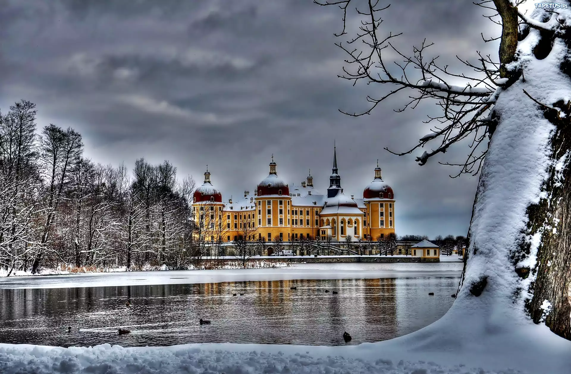 Zamek, Moritzburg, Zima, Jezioro, Chmury