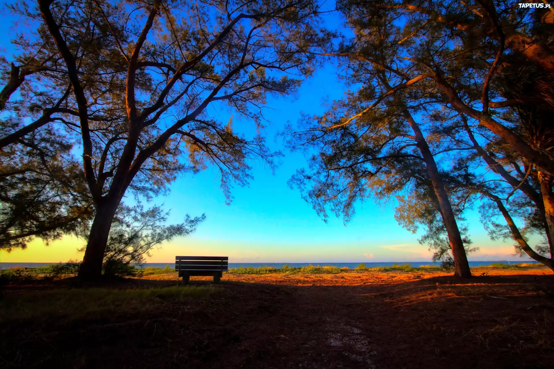Park, Ławeczka