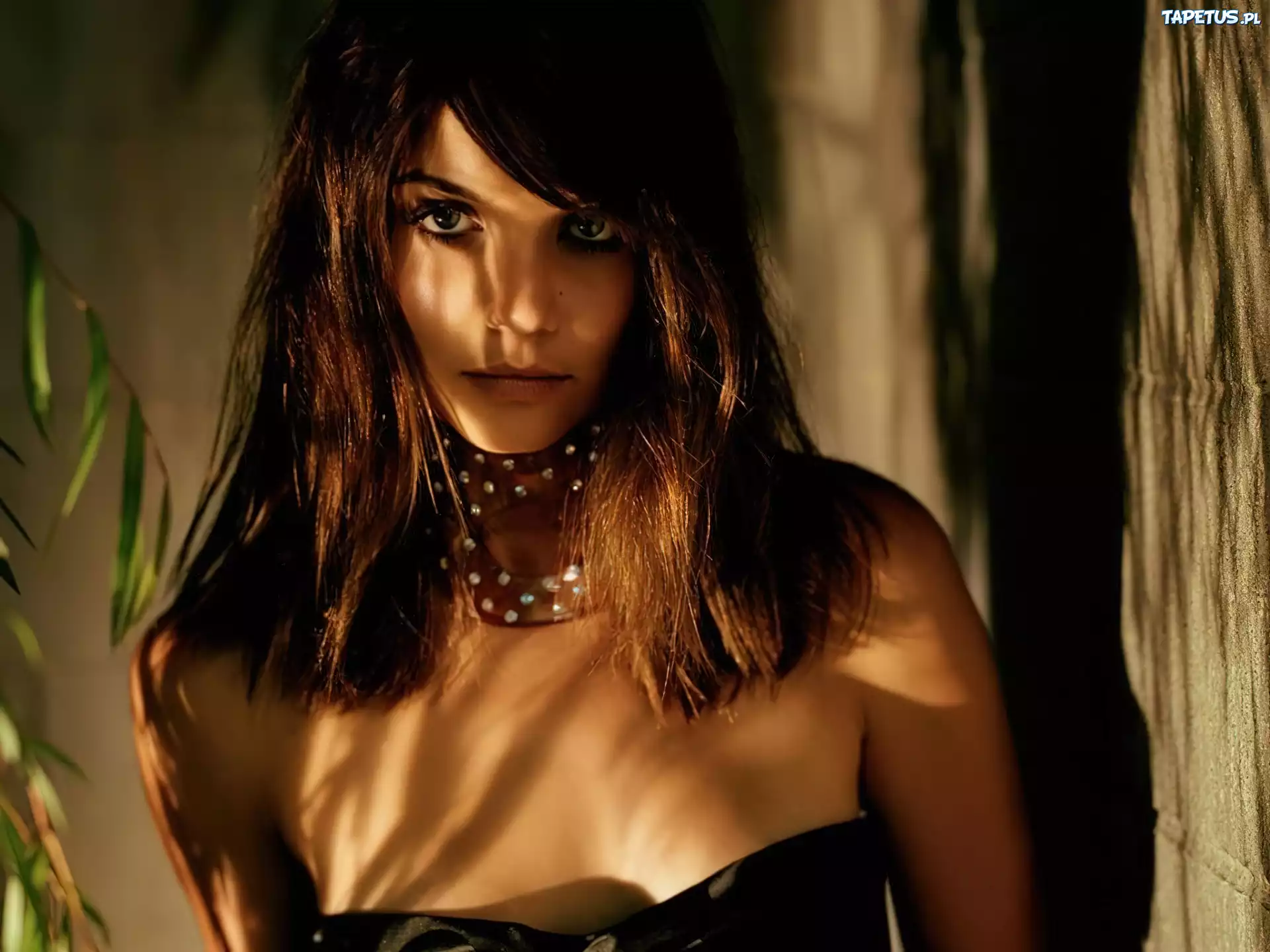brązowe, włosy, Katie Holmes