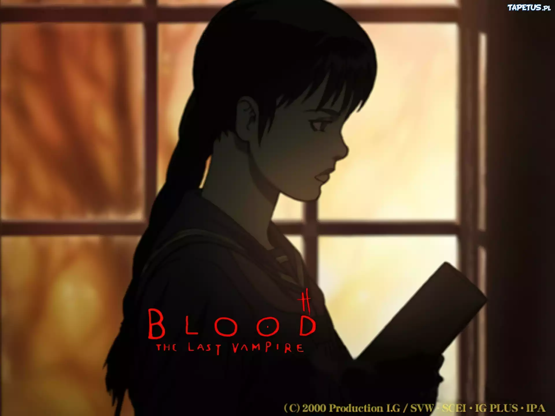 Blood The Last Vampire, postać, zamyslenie, napisy, okno